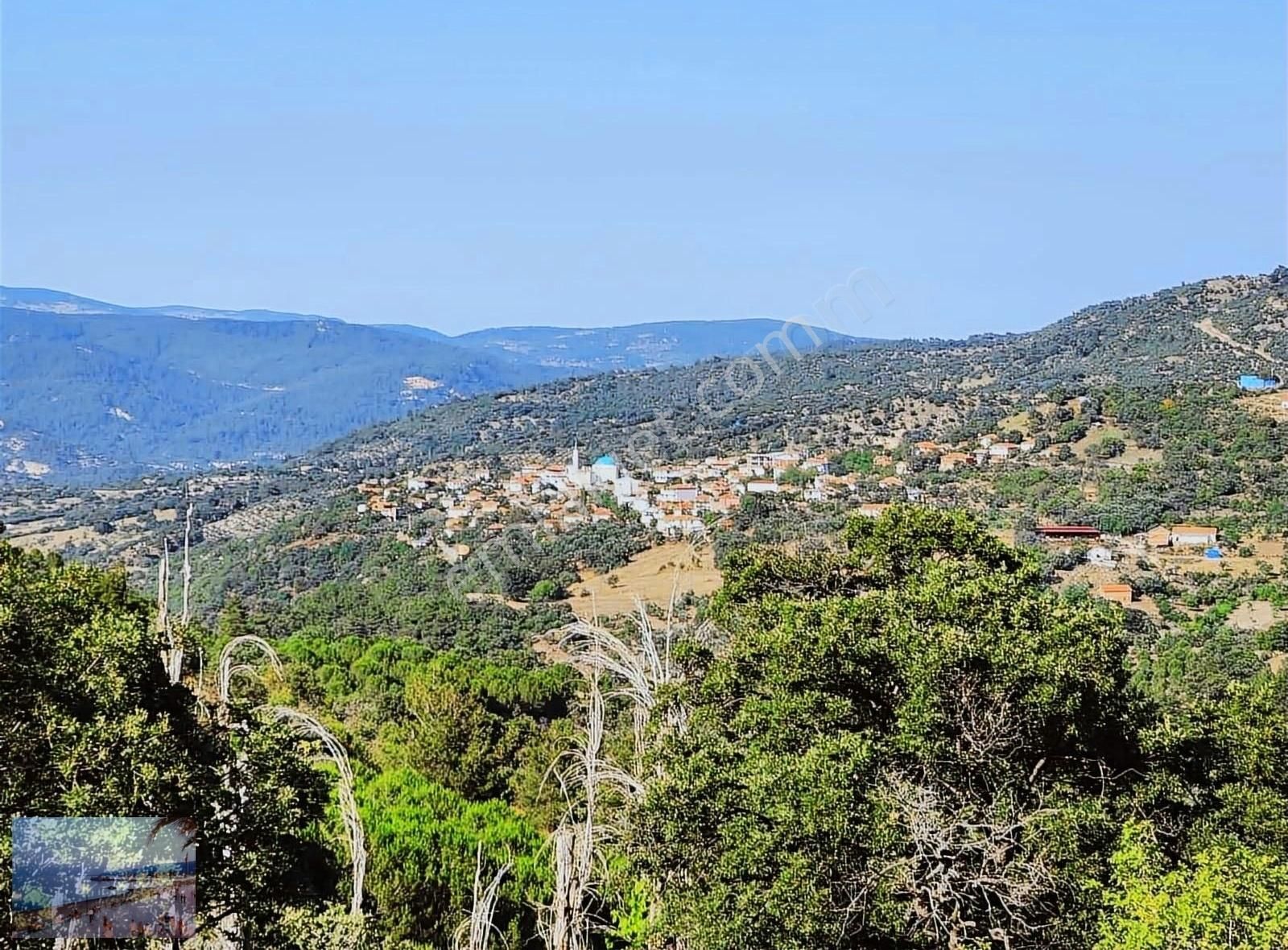 Havran Hallaçlarda Yatırımlık Kaçmaz 5.000 M2 Bağ Bahçe - Görsel 9