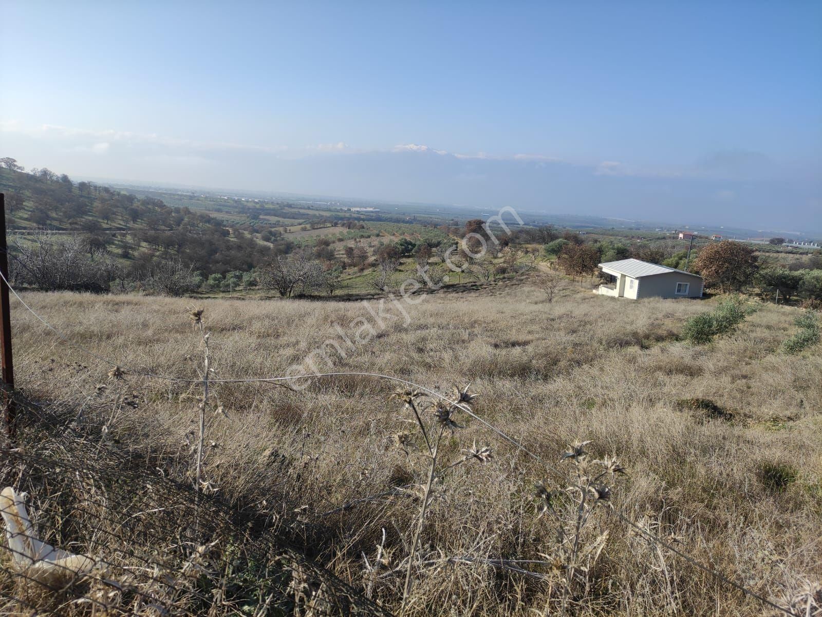 Salihli Delibaşlı Satılık Tarla Manisa Salihli Delibaşlı Köyü Satılık Tarla