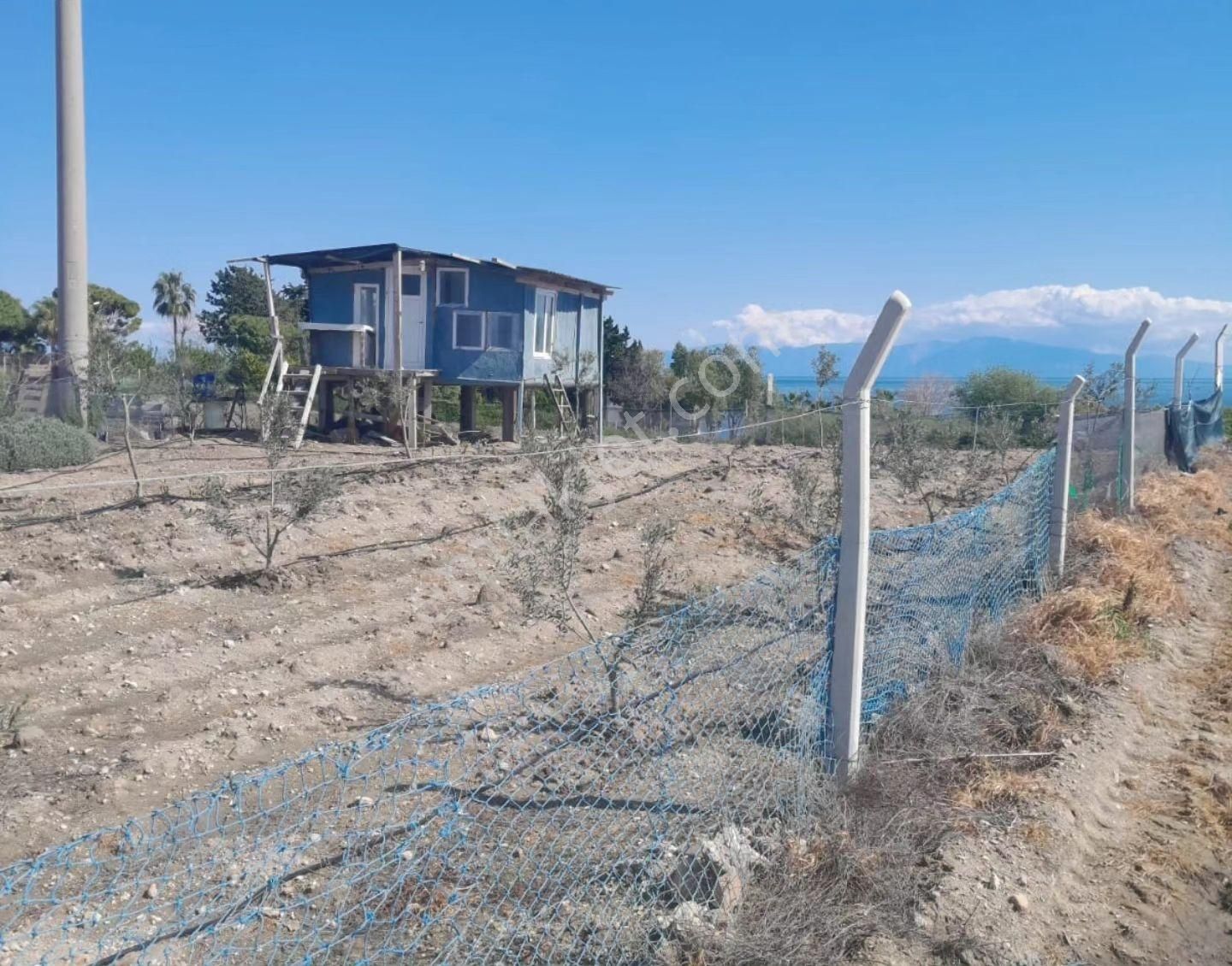 Gms Emlak'tan Karataş'ta Satılık Eşsiz Konumda 680m² Hobi Bahçesi - Görsel 6