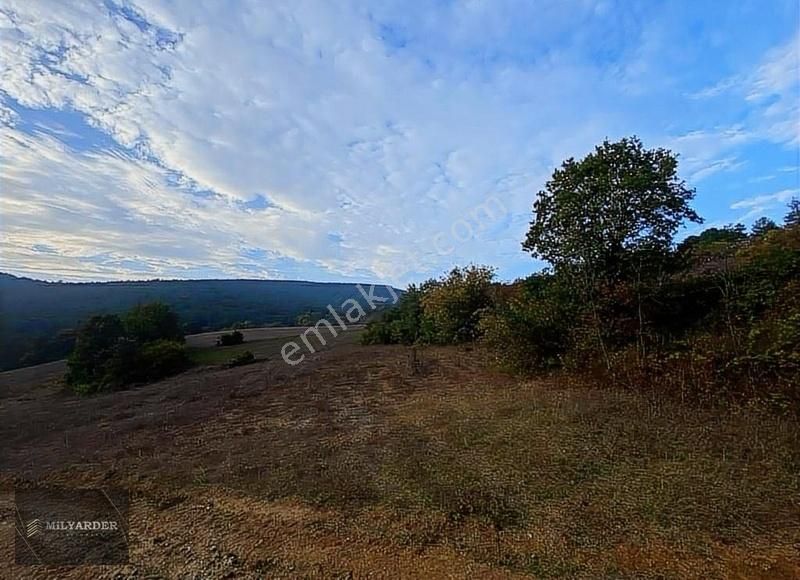 Orhaneli Süleymanbey Satılık Tarla  Bursa Orhaneli Süleymanbey de Satılık 8500 m2 arazi