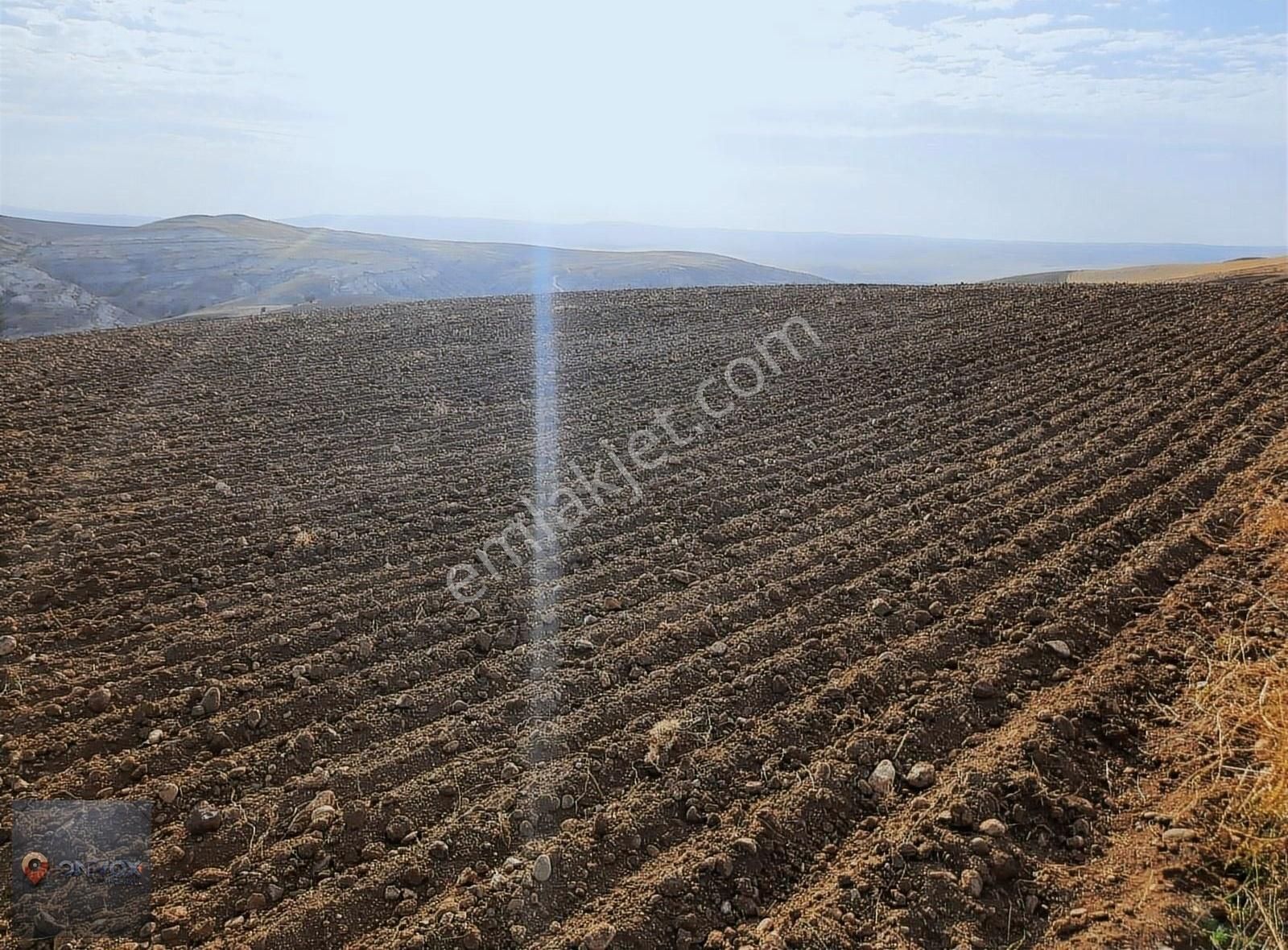 Çankırı Merkez Değim Köyü Satılık Tarla uygun fiyata