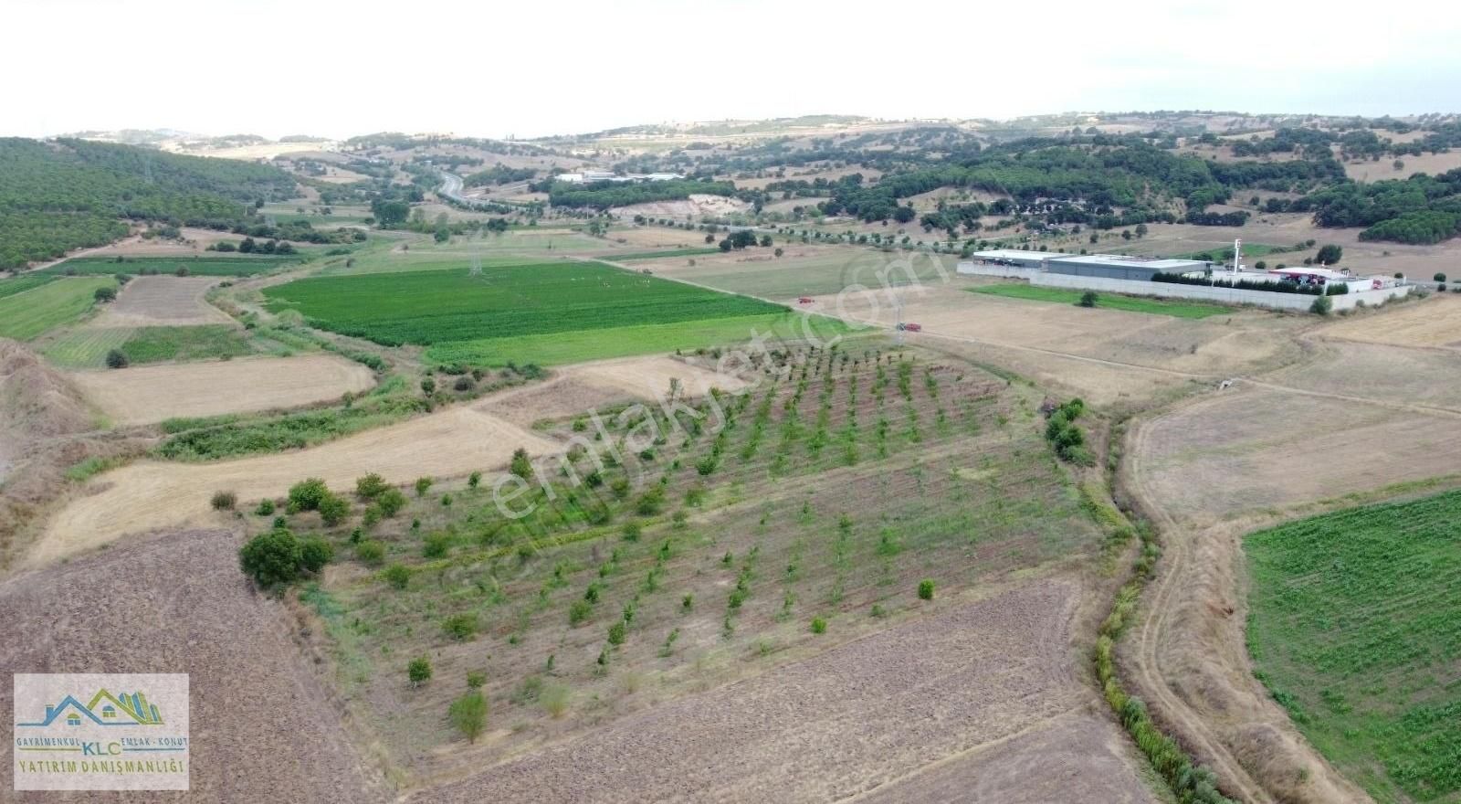 İvrindi Gökçeyazı Satılık Tarla Klc'den Gökçeyazı'da 3000 M2 Ceviz Dikili Tarlalar