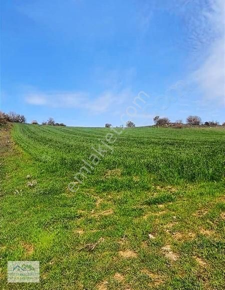 Altıeylül Akarsu Satılık Tarla Klc'den Altıeylül Akarsu Mah. 16600 M² Kadastrol Yola Cepheli