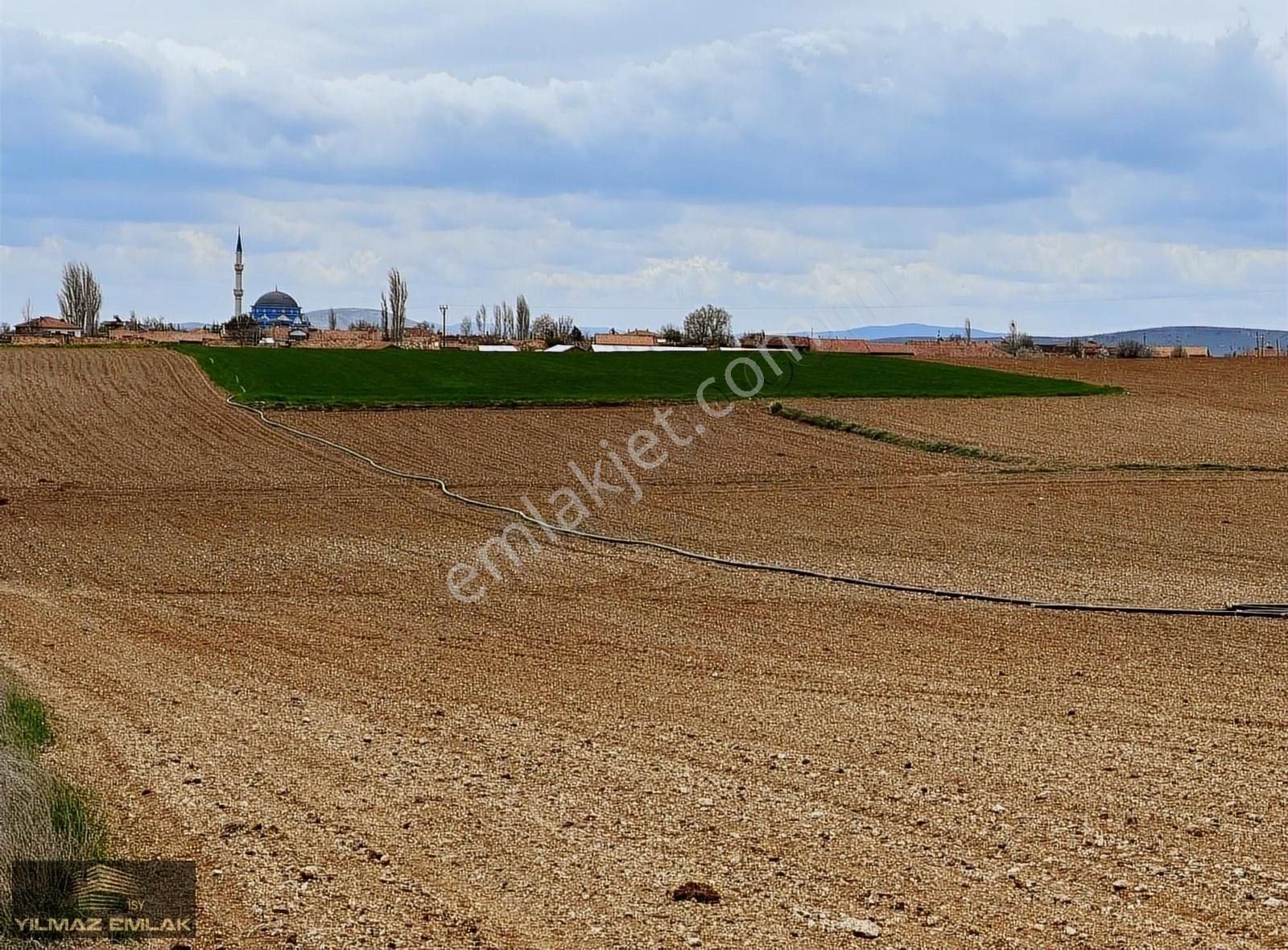 Altıntaş Üçhüyük Köyü Satılık Bağ & Bahçe Kütahya Altıntaş üç höyük mah