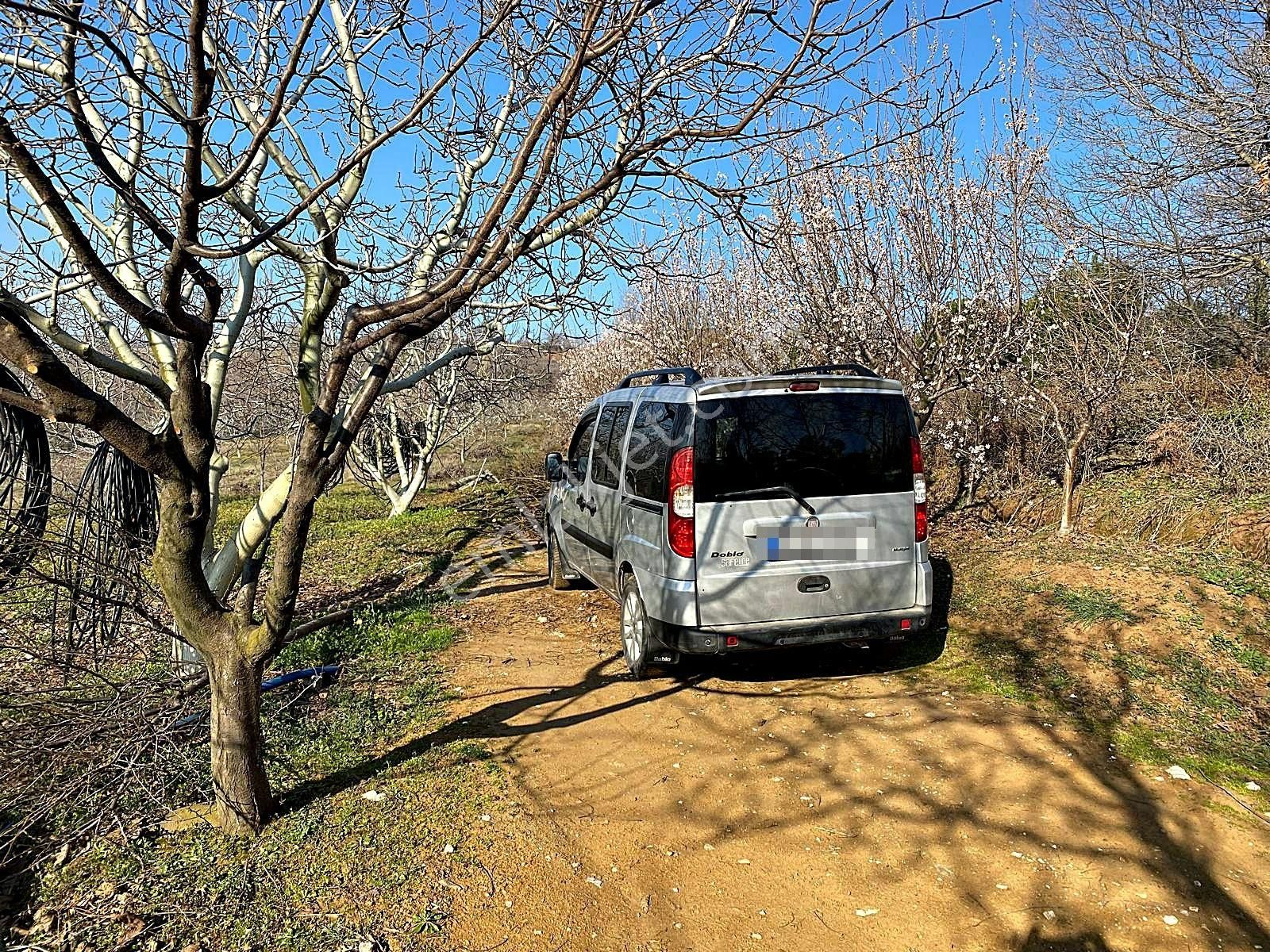 Karacabey Yarış Satılık Tarla Bursa Karacabey Yarış'ta Doğa Manzaralı Satılık 10.150 M2 Arazi