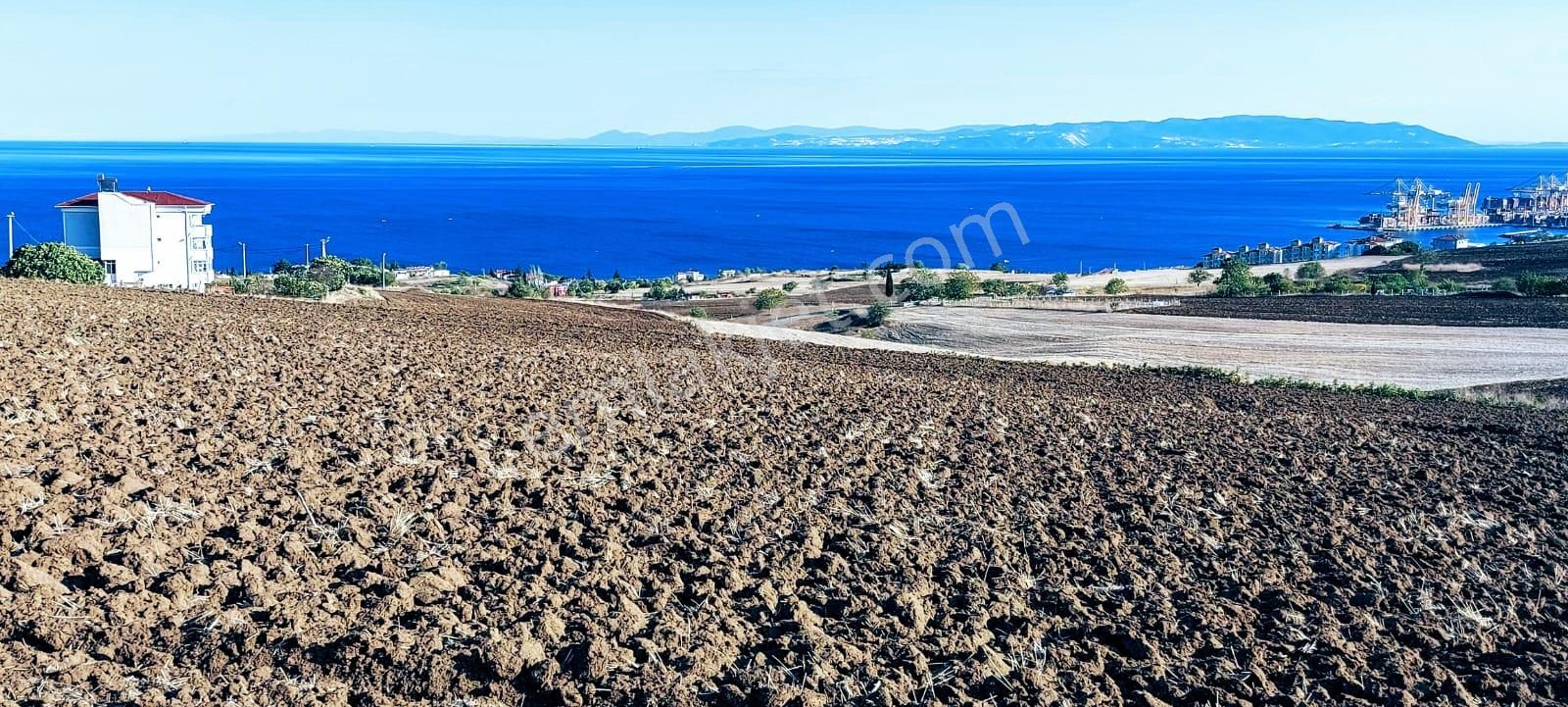 Süleymanpaşa Topağaç Satılık Konut İmarlı TEKİRDAĞ BARBAROSTA FULL DENIZ MANZARALI KOOPERATİF VE SİTE YAPIMINA UYGUN KELEPİR ARSA 