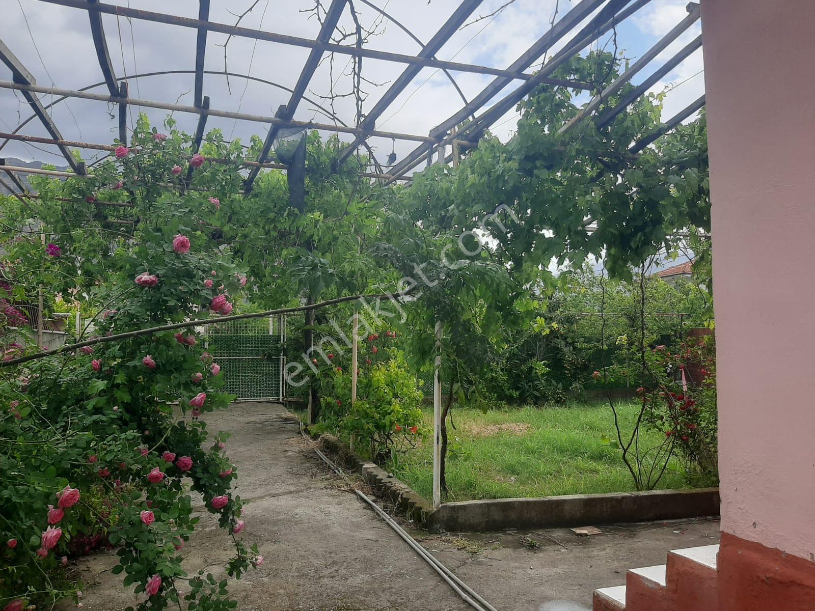 Köyceğiz'de Yazlık 1170 M2 Arsada 4 Daire - Görsel 7