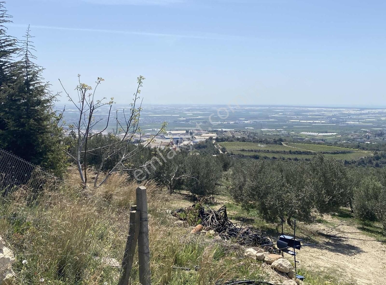 Tarsus Nacarlı Osb Ye Sıfır Müstakil Arsa Yatırımlık - Görsel 13