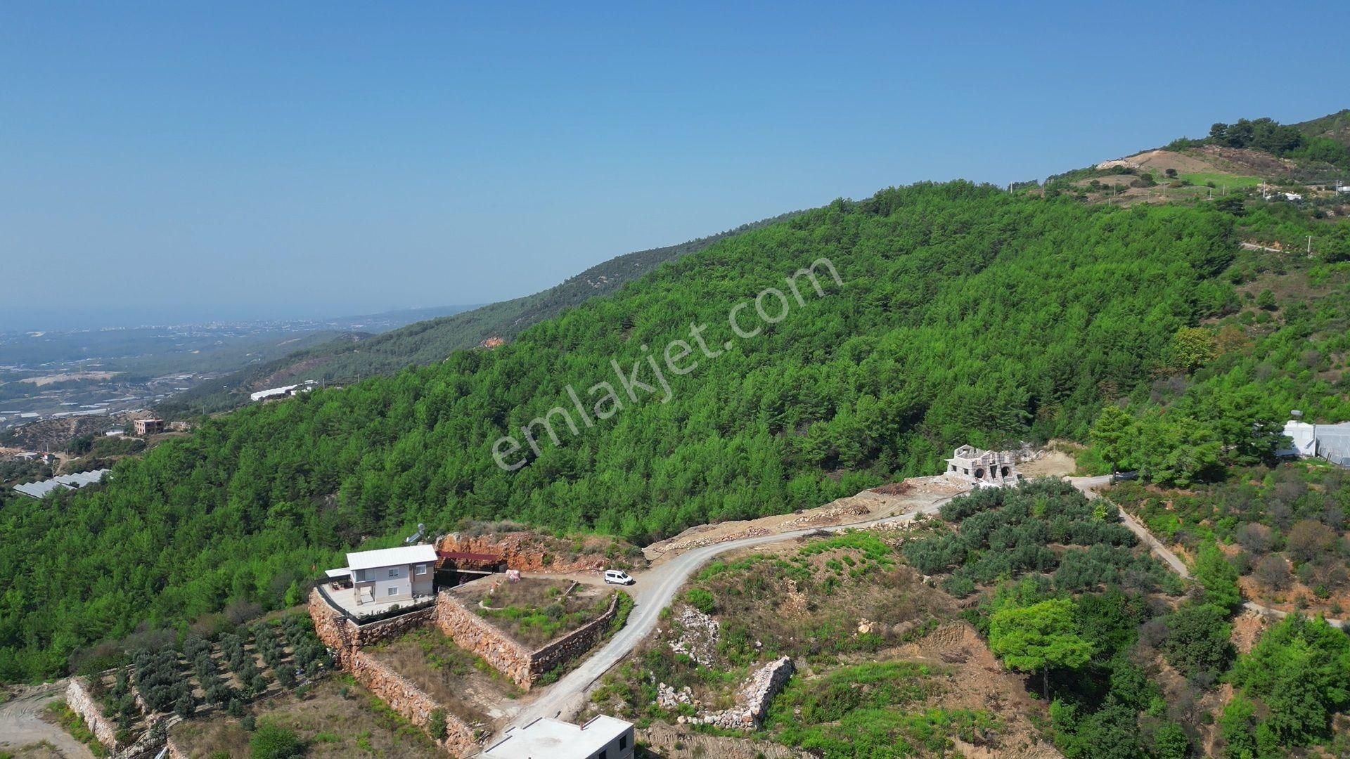 Satılık 1557 M2 Tarla, Deniz Manzaralı - Görsel 8