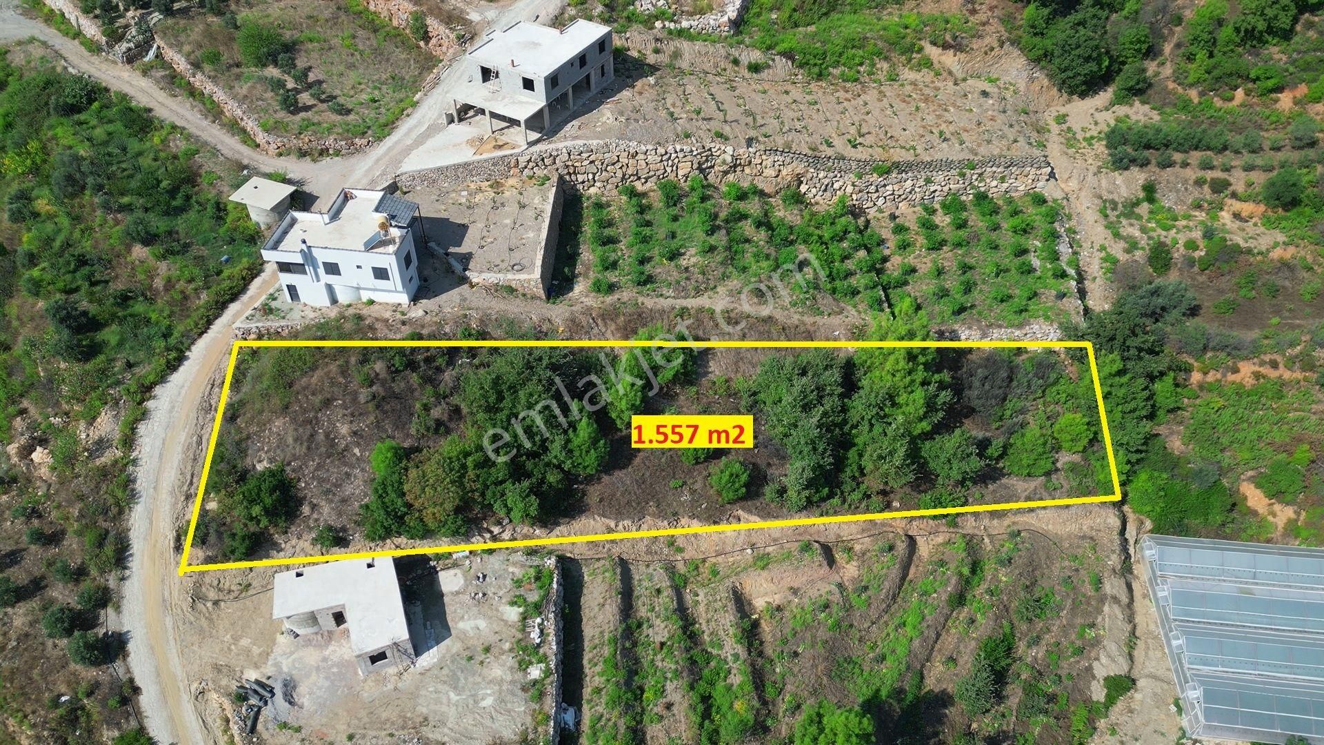 Satılık 1557 M2 Tarla, Deniz Manzaralı - Görsel 4