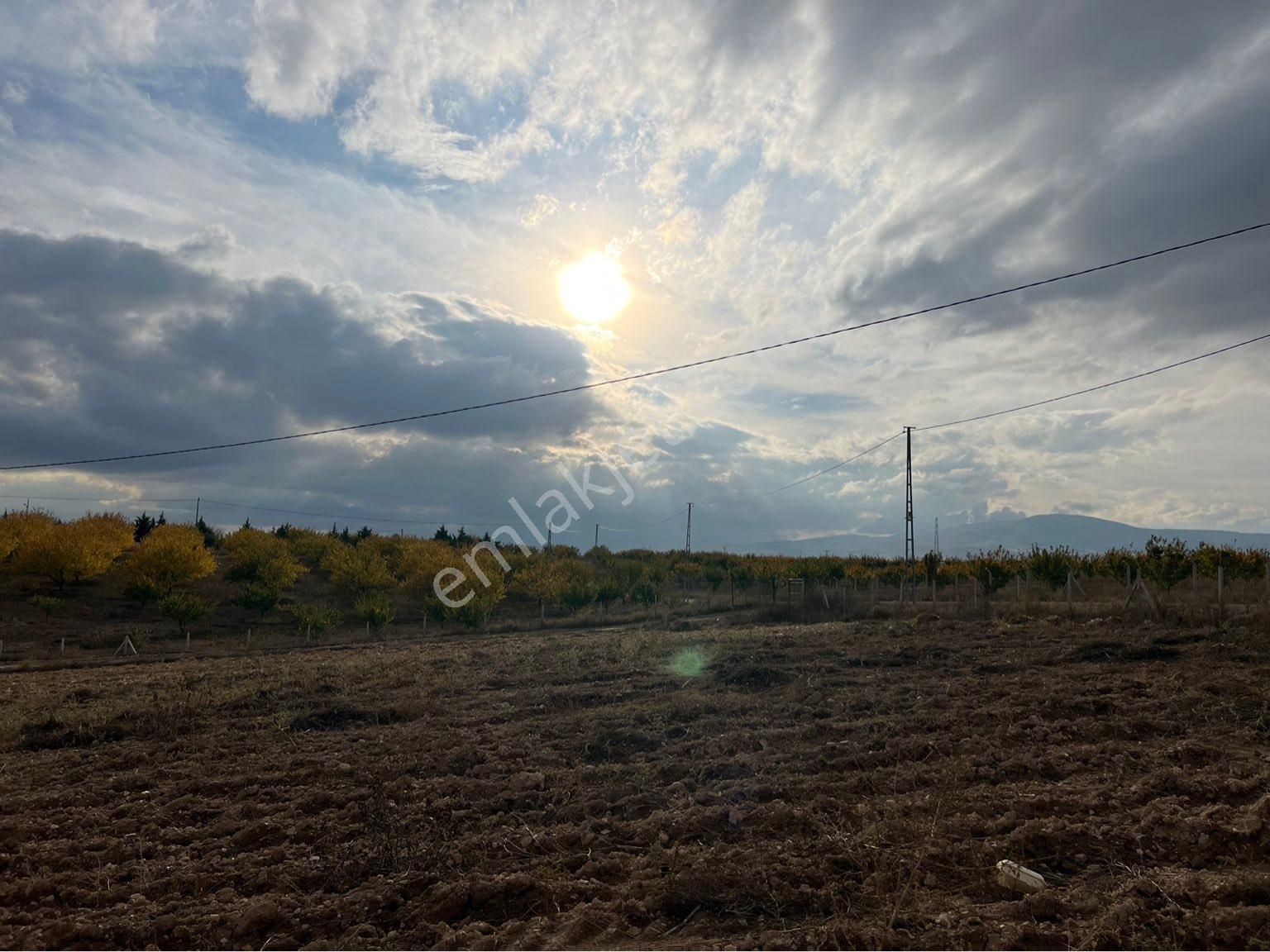 Yeşilyurt Kırkpınar Satılık Bağ & Bahçe Kırkpınarda Satılık Tarla