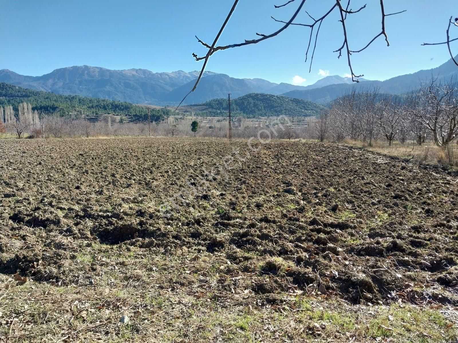 Çameli Arıkaya Satılık Tarla Çameli arıkaya mahallesi satılık 8.180m2 müstakil tapulu tarla