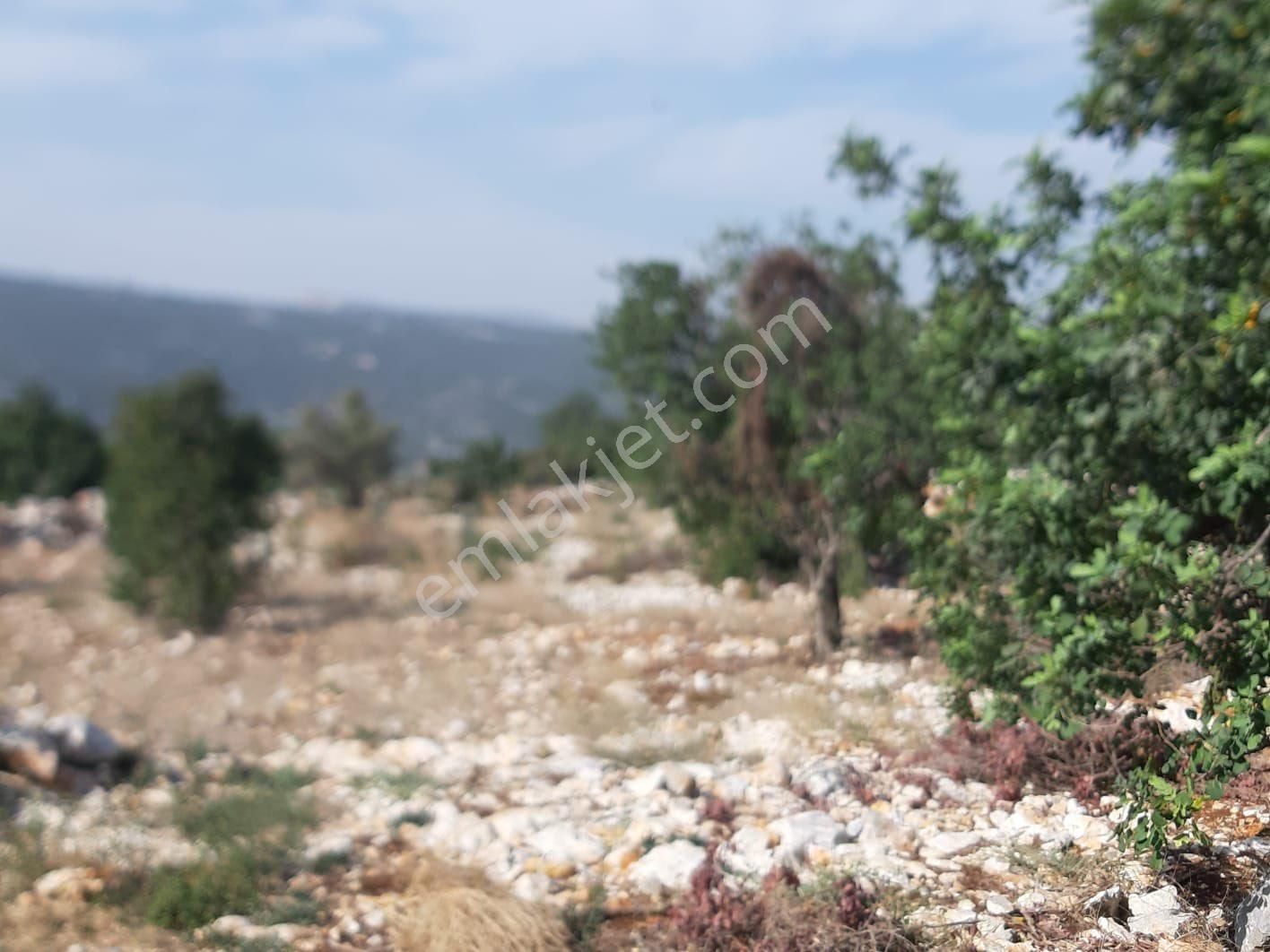 Villalık Veya Yatırımlık Güzel Konumda - Görsel 8