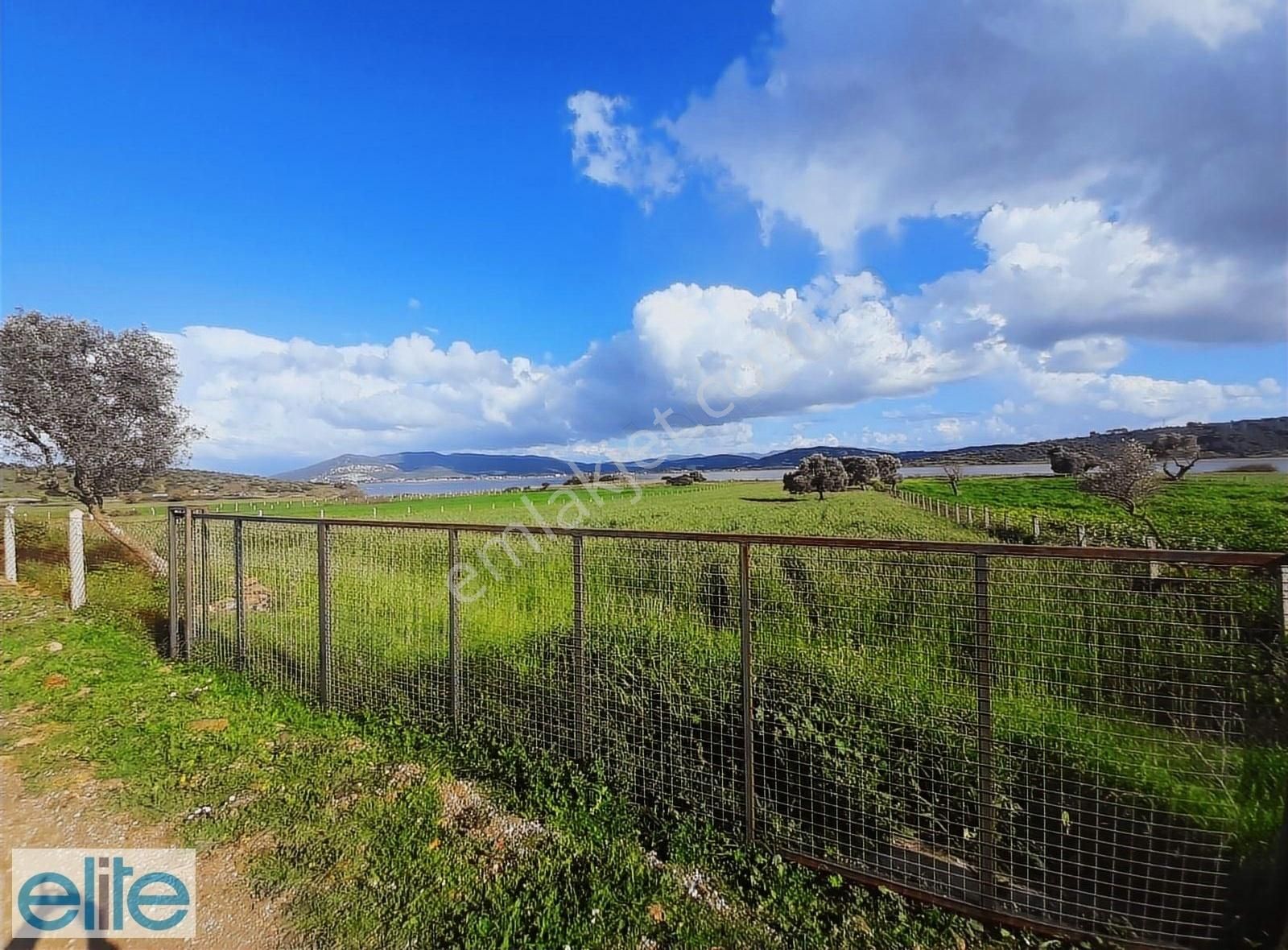 Milas Boğaziçi Satılık Tarla Muğla Bodrum Milas Arası Boğaziçi'nde Satılık Tarla