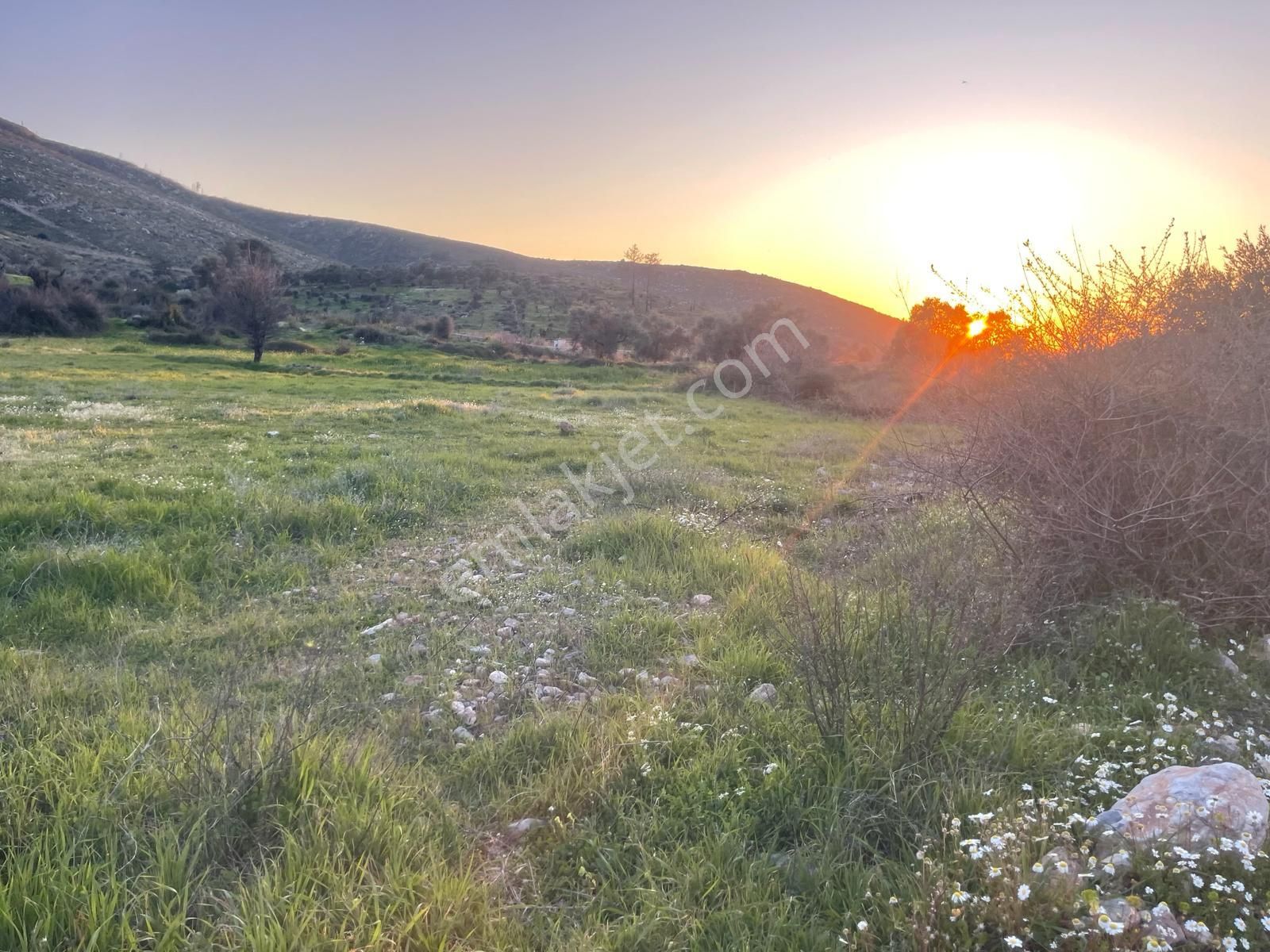 Bodrum Gökpınar'da Resmi Yol Cepheli 3488 M2 Düz Tarla - Görsel 9