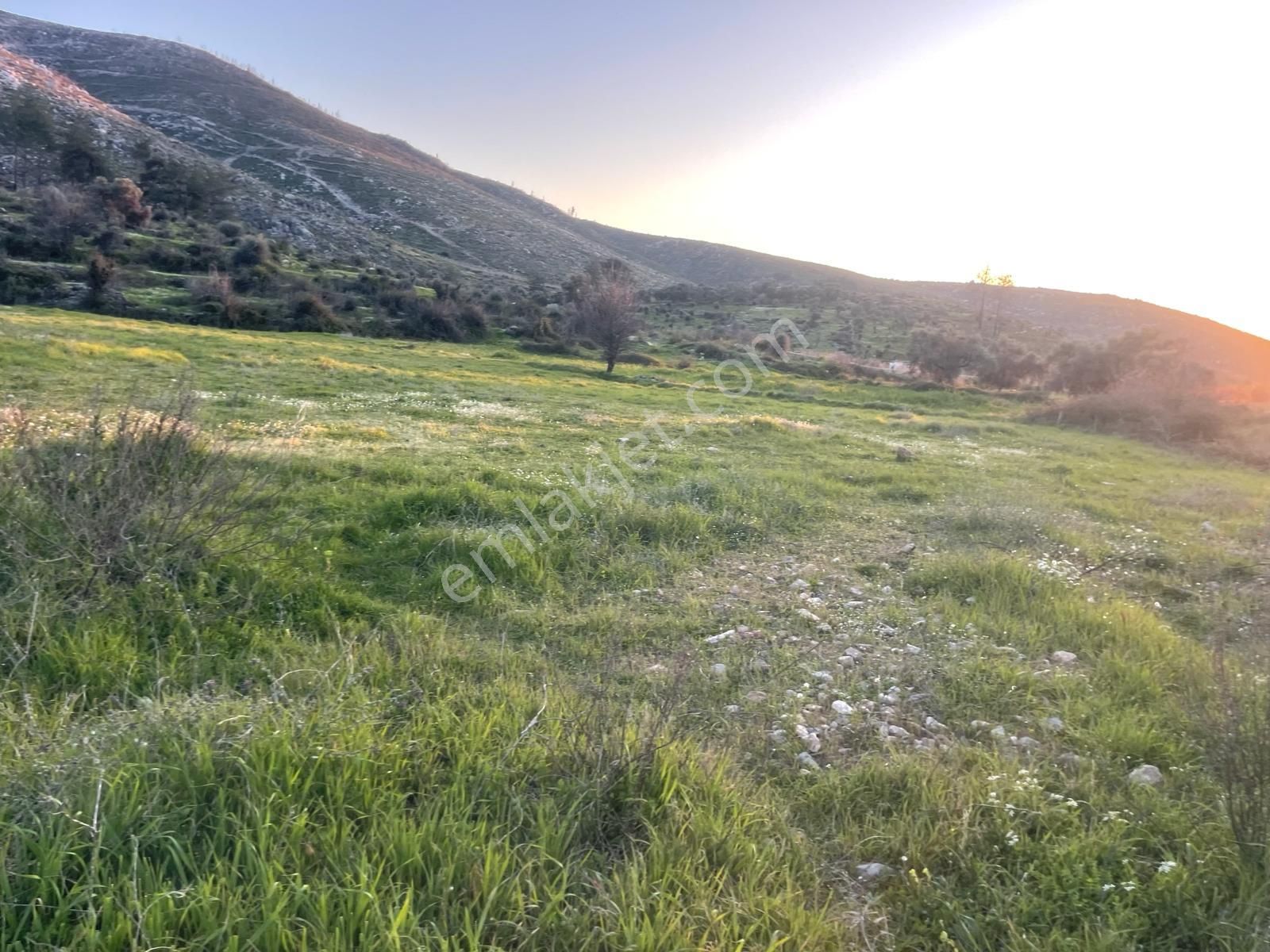 Bodrum Gökpınar'da Resmi Yol Cepheli 3488 M2 Düz Tarla - Görsel 7