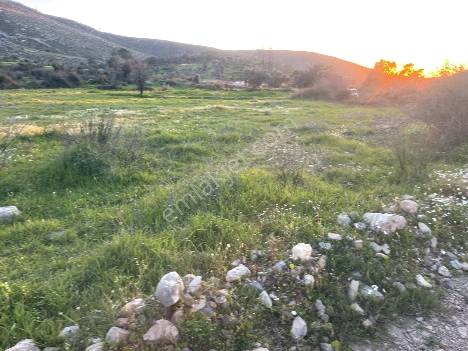 Bodrum Gökpınar'da Resmi Yol Cepheli 3488 M2 Düz Tarla - Görsel 2