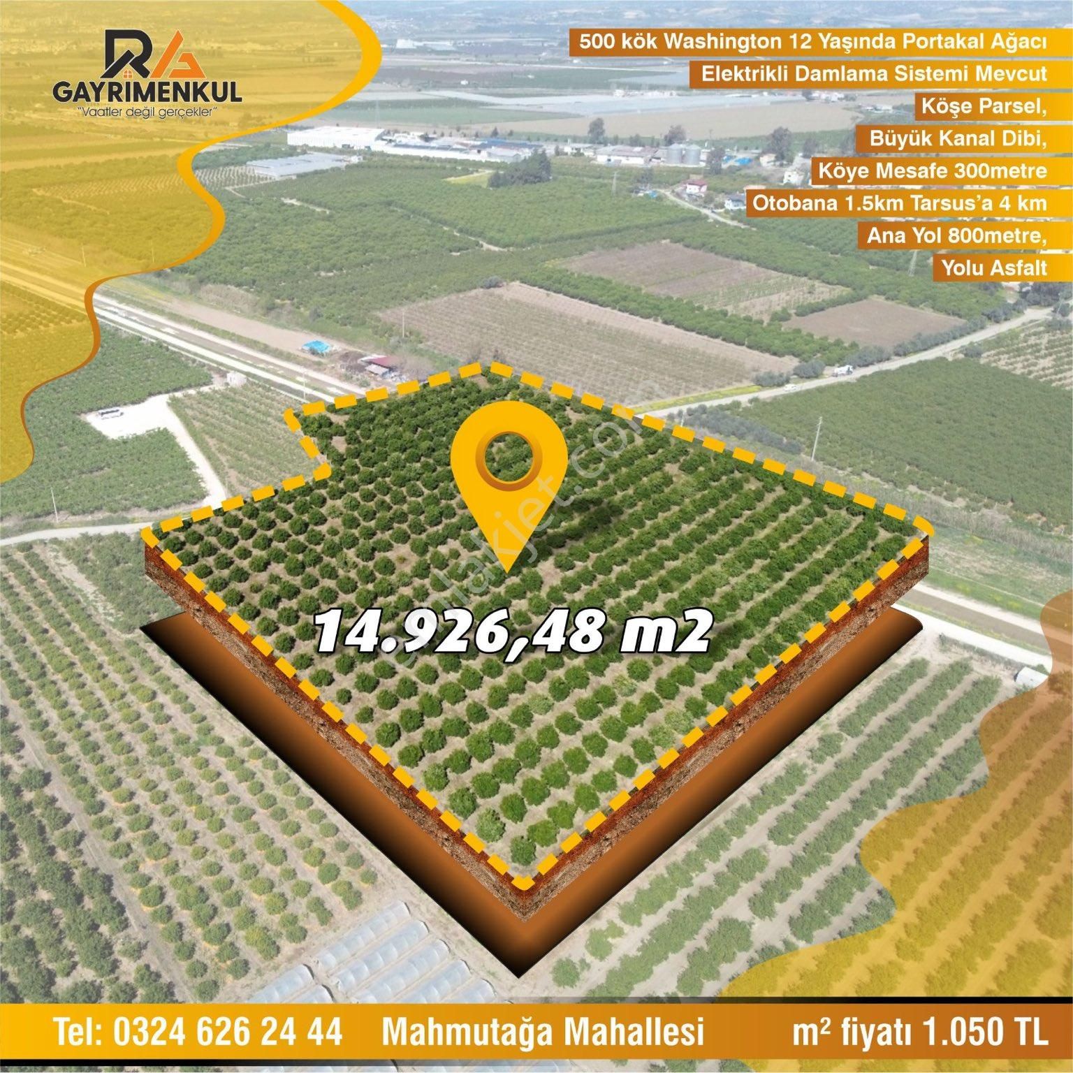 Tarsus Mahmutağa Satılık Bağ & Bahçe MAHMUTAĞA KÖYÜ SATILIK 14.926 m2 PORTAKAL BAHÇESİ