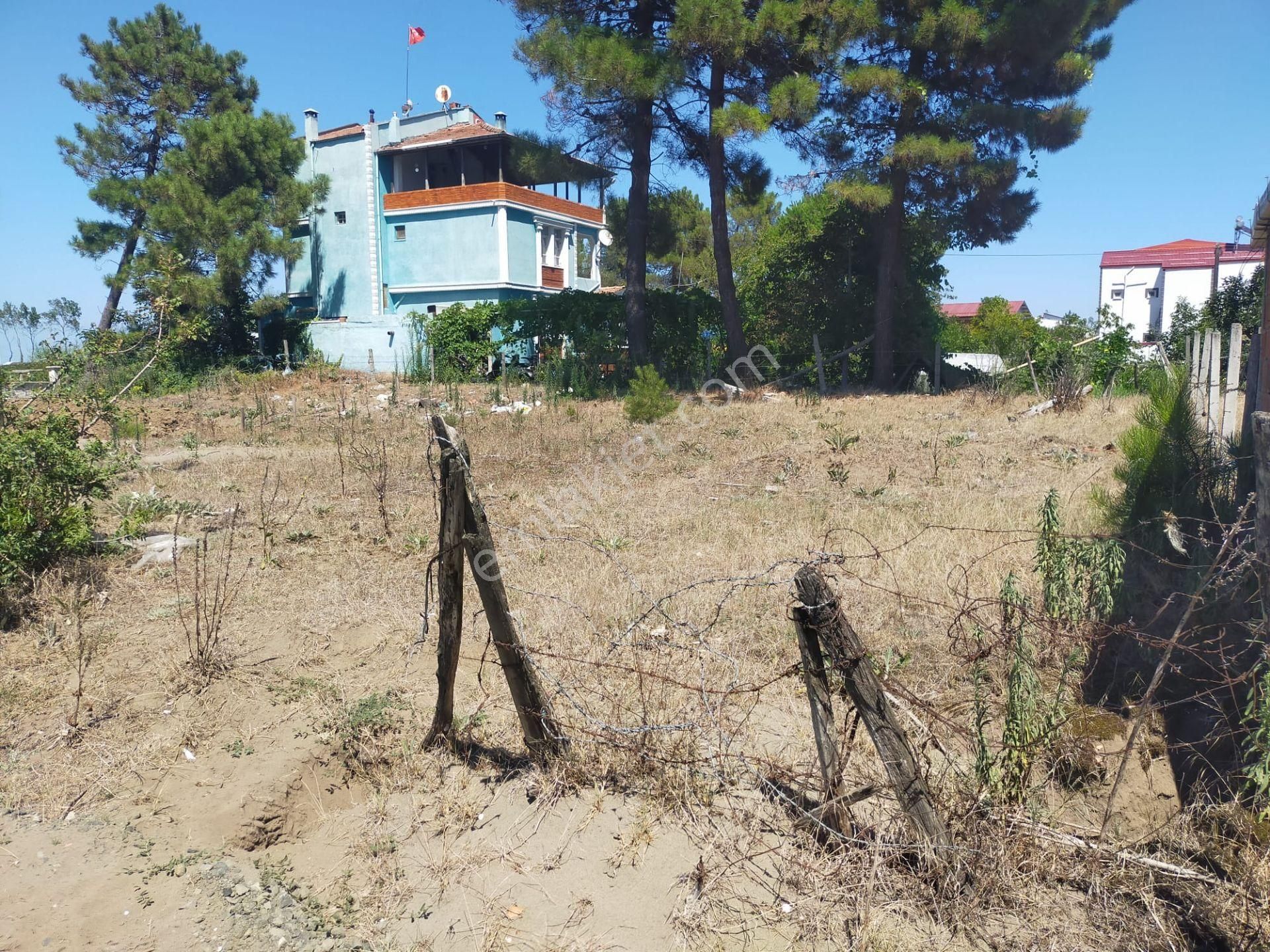 Çok Acil Deniz Kenarı 400 M2 Tapulu Arsa. Samsun/çınarlık