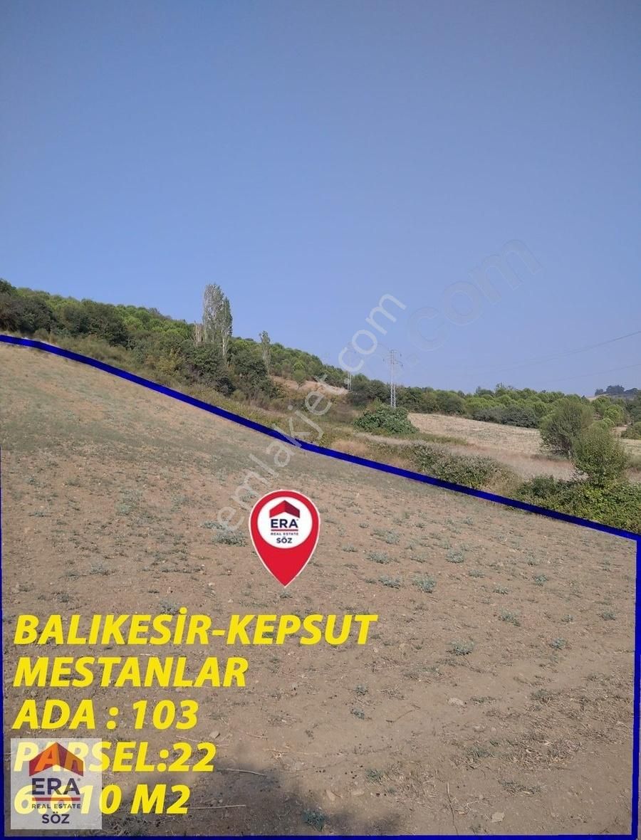 Kepsut Mestanlar Satılık Tarla ERA SÖZ GAYRİMENKULDEN BALIKESİR KEPSUT MESTANLAR SATILIK TARLA