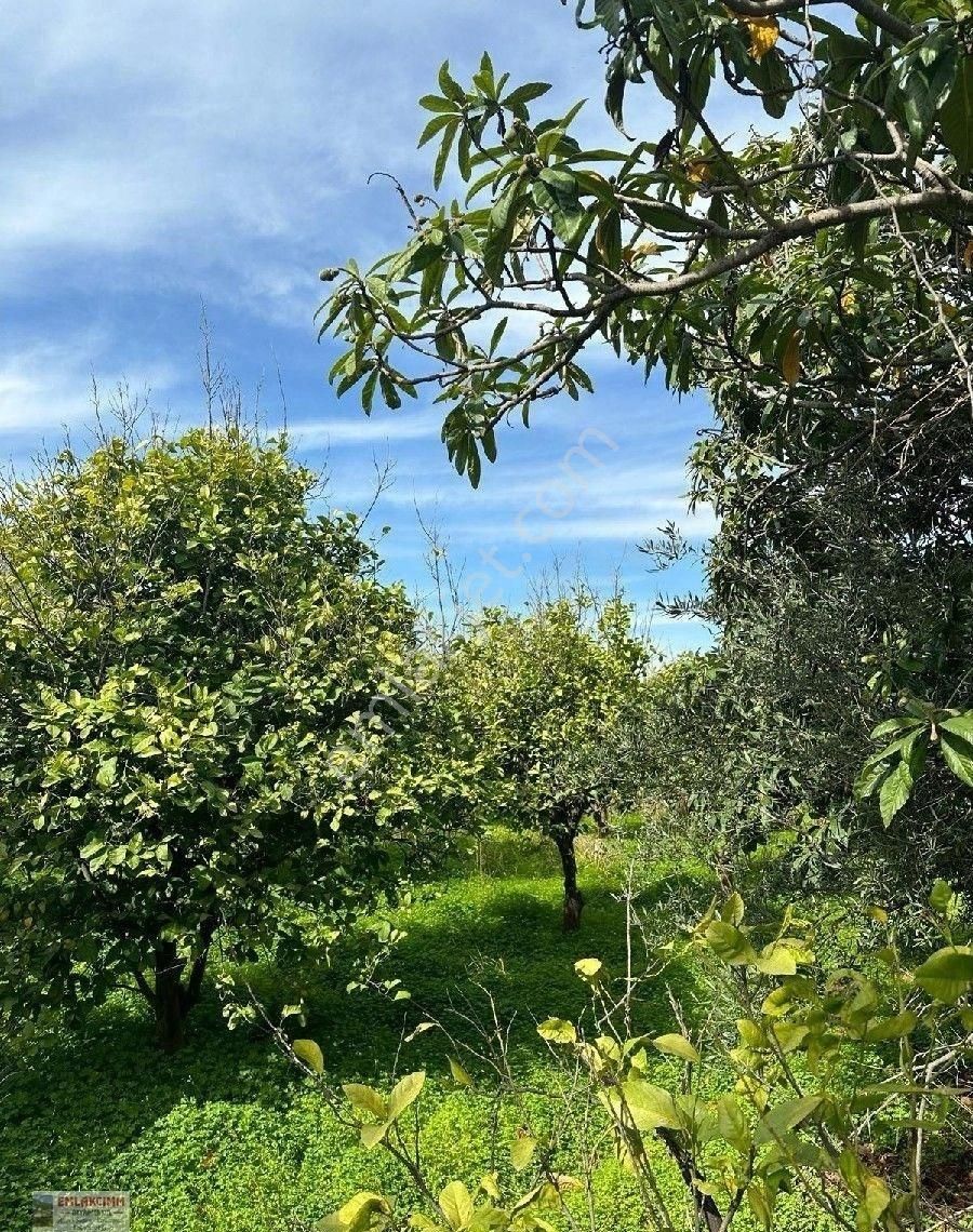 Aşağı Karaman Sanayi Yolunda - Görsel 19