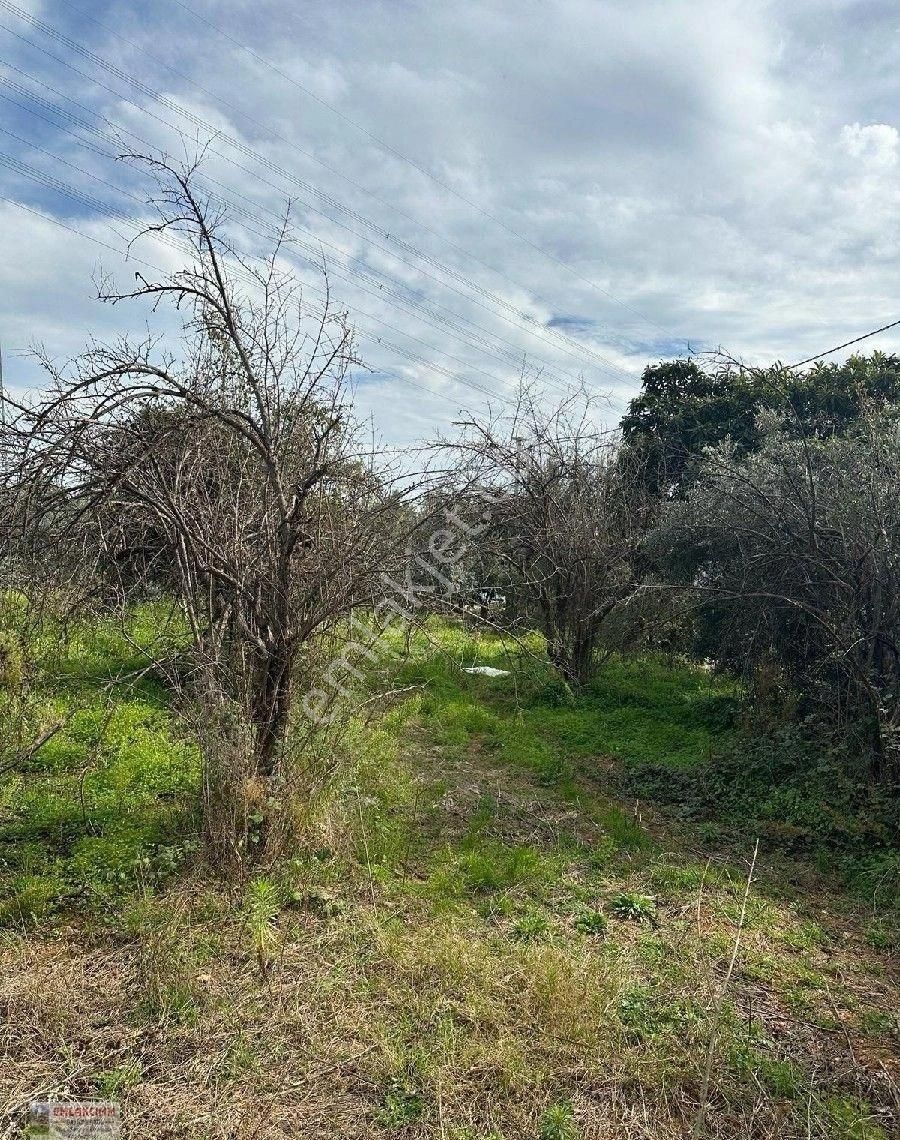 Aşağı Karaman Sanayi Yolunda - Görsel 16