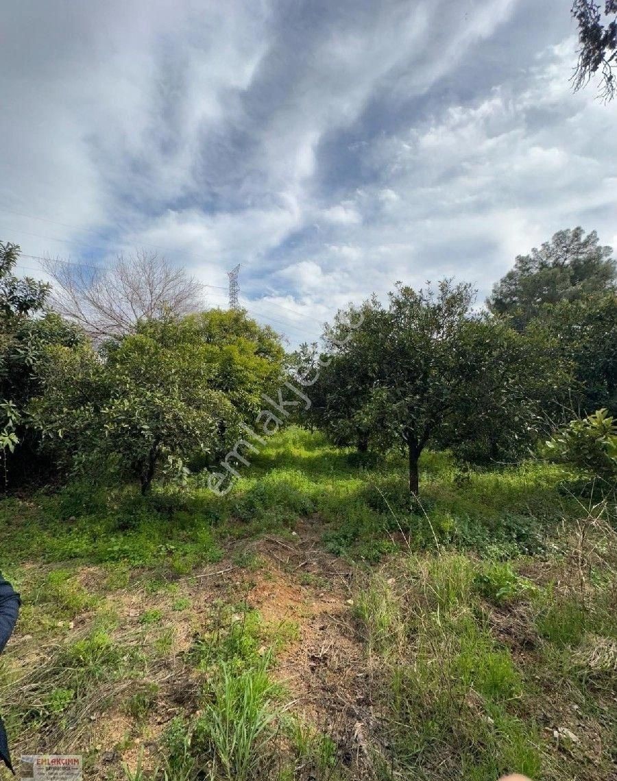 Aşağı Karaman Sanayi Yolunda - Görsel 17