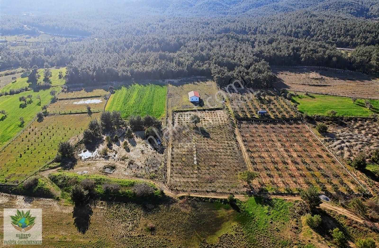 Menderes Çatalca Satılık Tarla Pasifikten Menderes Çatalcada İçinde 180m² Ev Olan 10.686m² Arsa