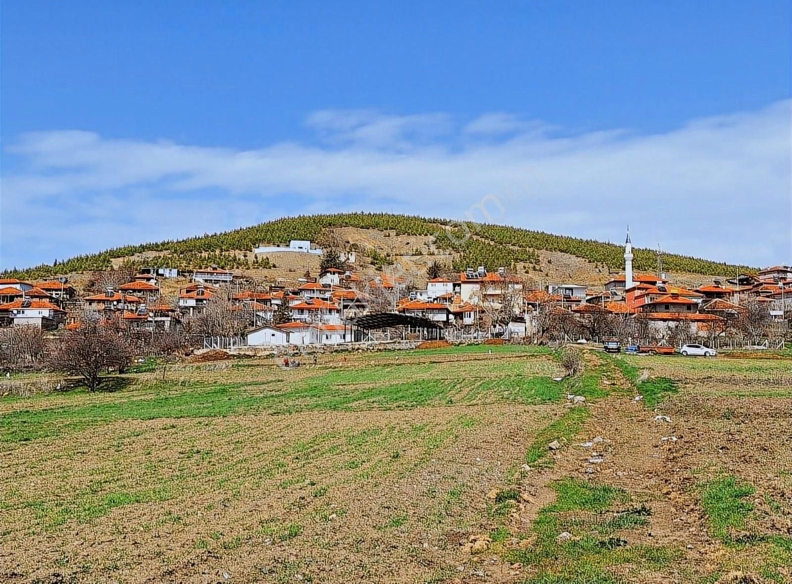 Acıpayam Pınarbaşı Satılık Tarla HEM EVLERE YAKIN HEMDE RESMİ YOLU VAR