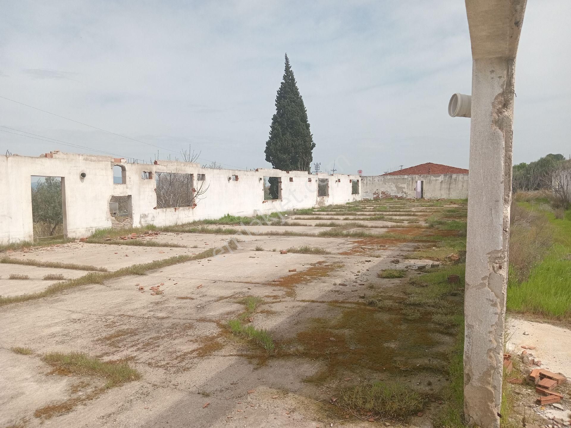 Manisa Ahmetli Derekoy Mahallesinde 4821m² Eski Fabrika Satılık - Görsel 20