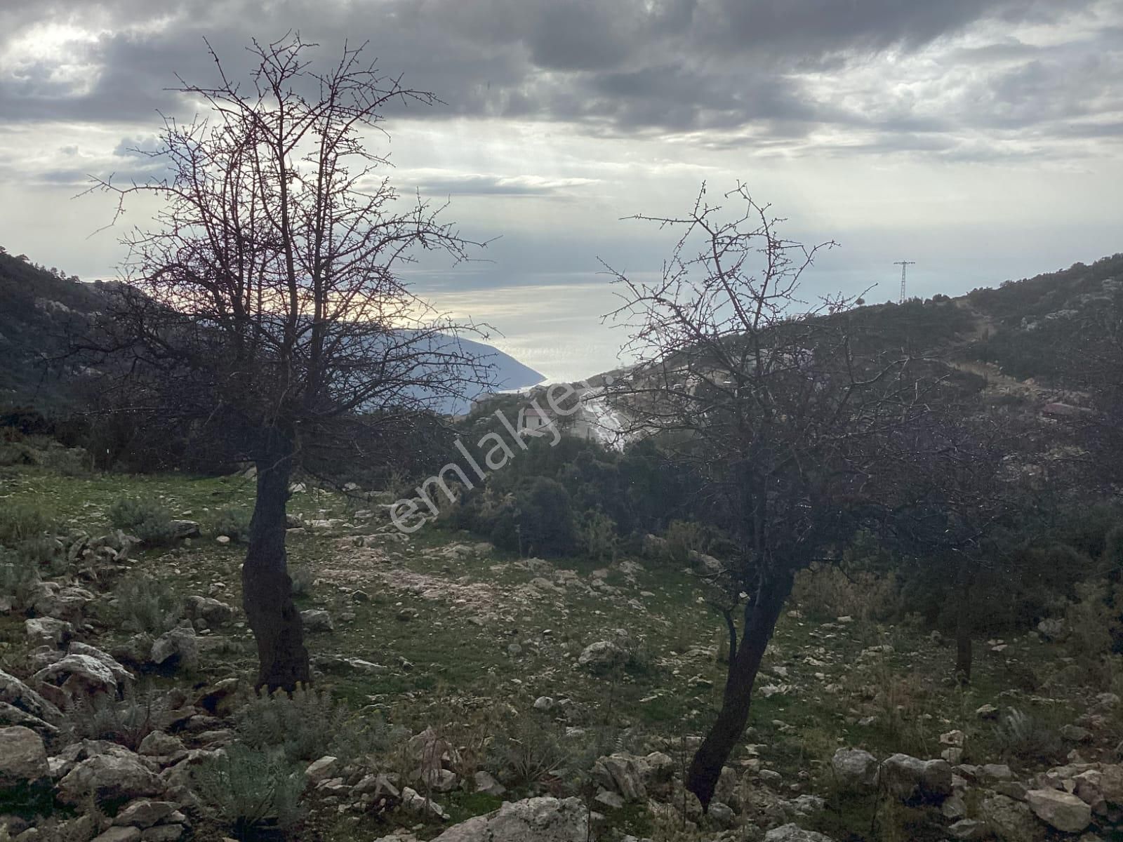 Goldhouse Dan Satılık Karaağaç Da Deniz Manzaralı Tarla Ve Taş Ev - Görsel 4