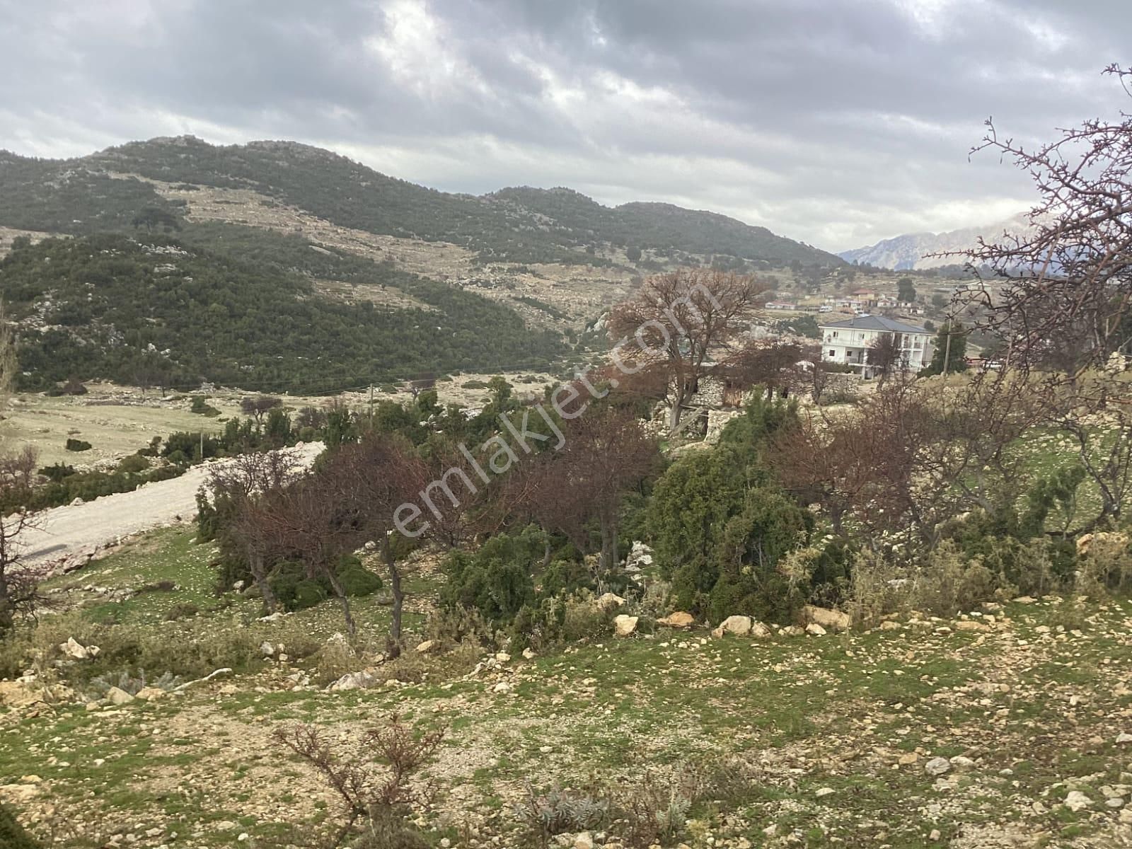 Goldhouse Dan Satılık Karaağaç Da Deniz Manzaralı Tarla Ve Taş Ev - Görsel 11