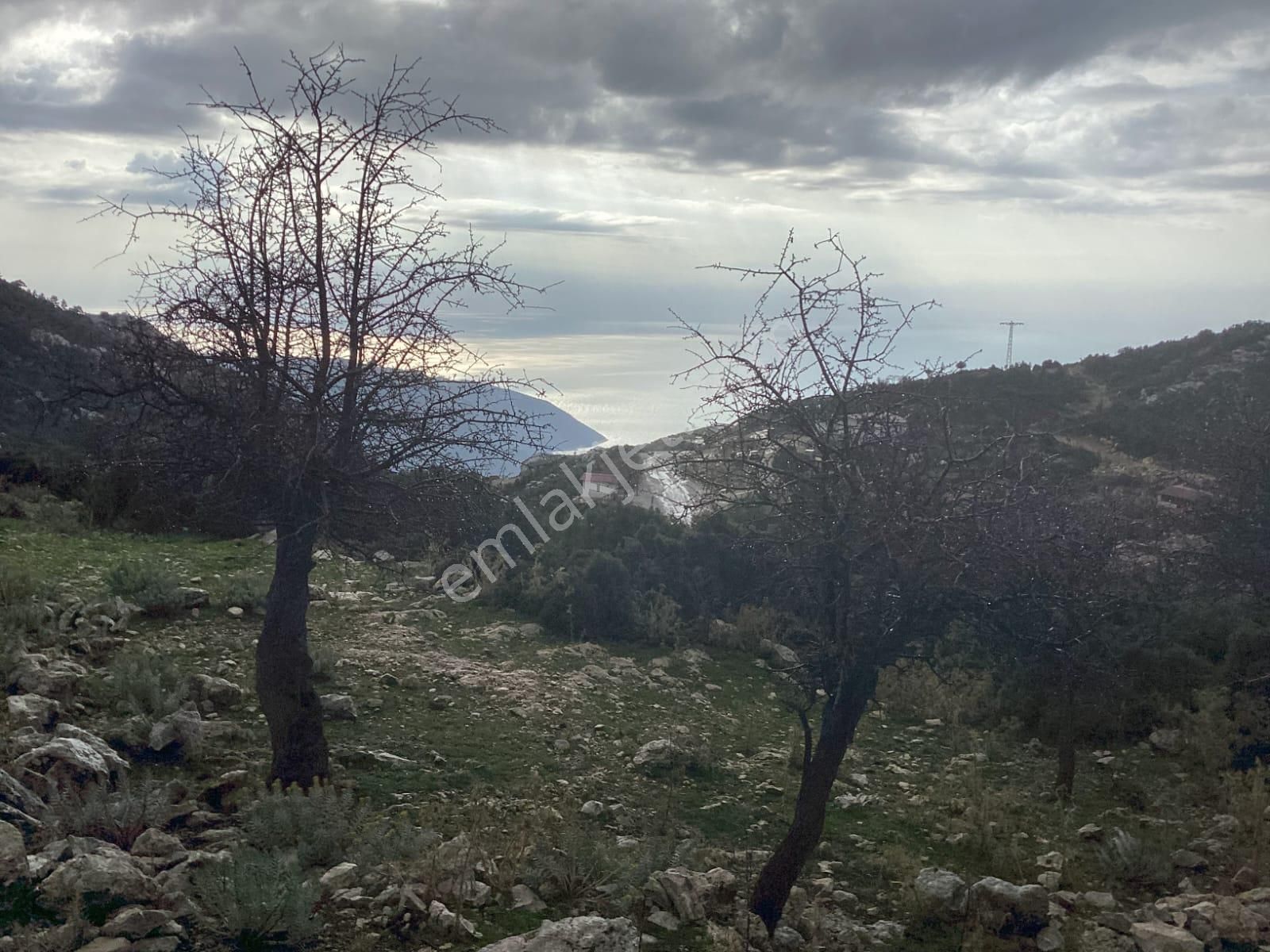 Goldhouse Dan Satılık Karaağaç Da Deniz Manzaralı Tarla Ve Taş Ev - Görsel 3