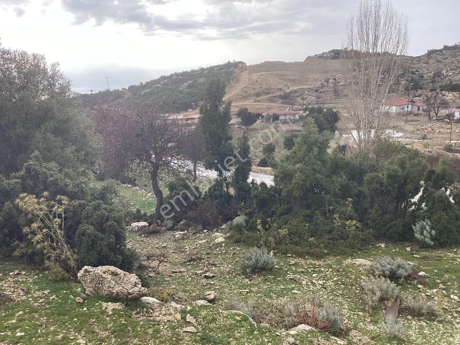 Goldhouse Dan Satılık Karaağaç Da Deniz Manzaralı Tarla Ve Taş Ev - Görsel 16