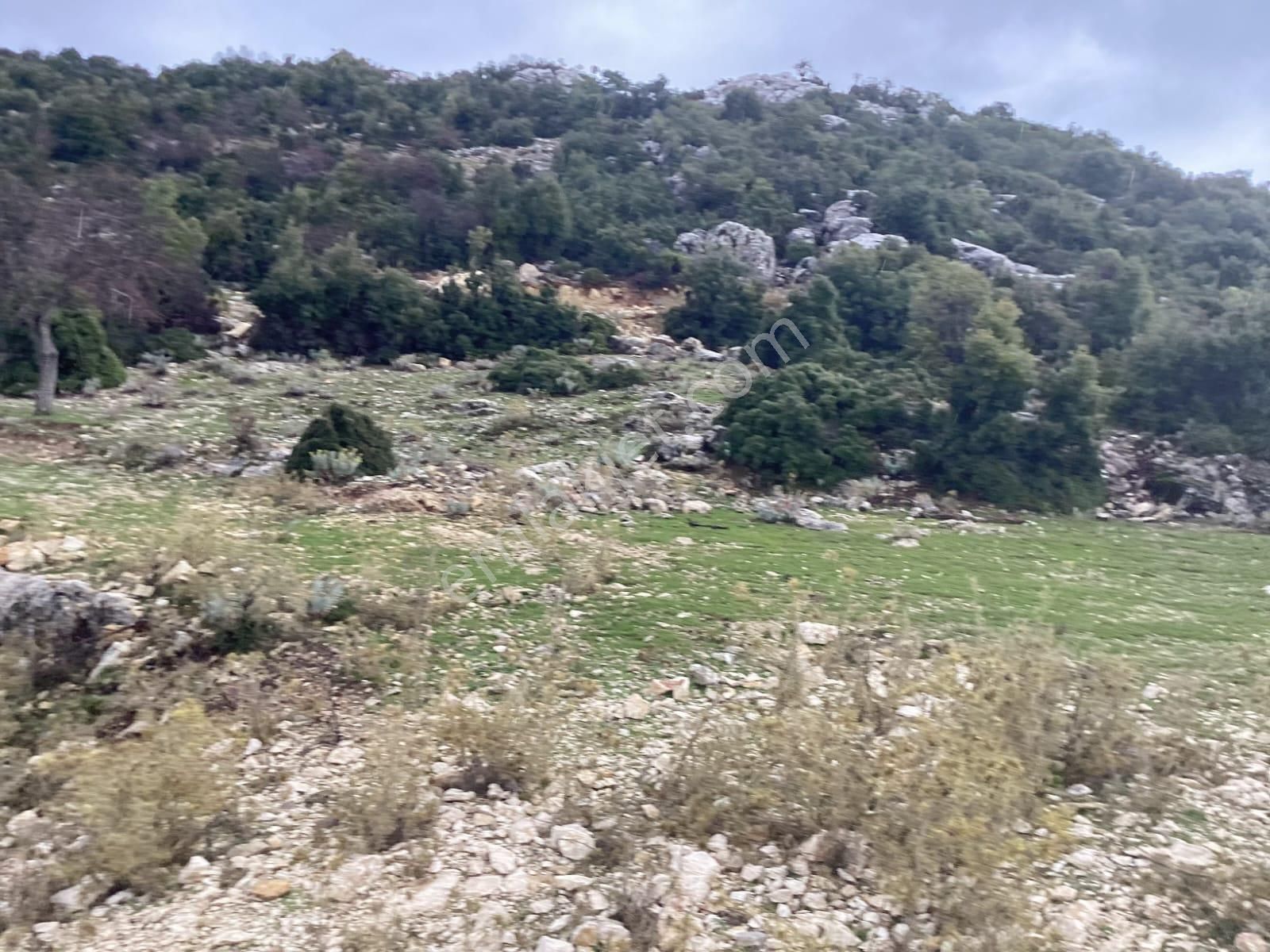 Goldhouse Dan Satılık Karaağaç Da Deniz Manzaralı Tarla Ve Taş Ev - Görsel 20