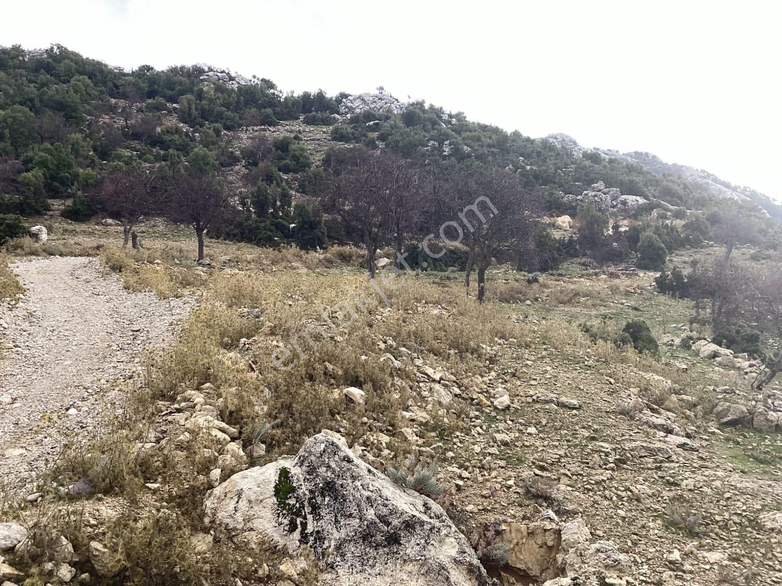 Goldhouse Dan Satılık Karaağaç Da Deniz Manzaralı Tarla Ve Taş Ev - Görsel 26