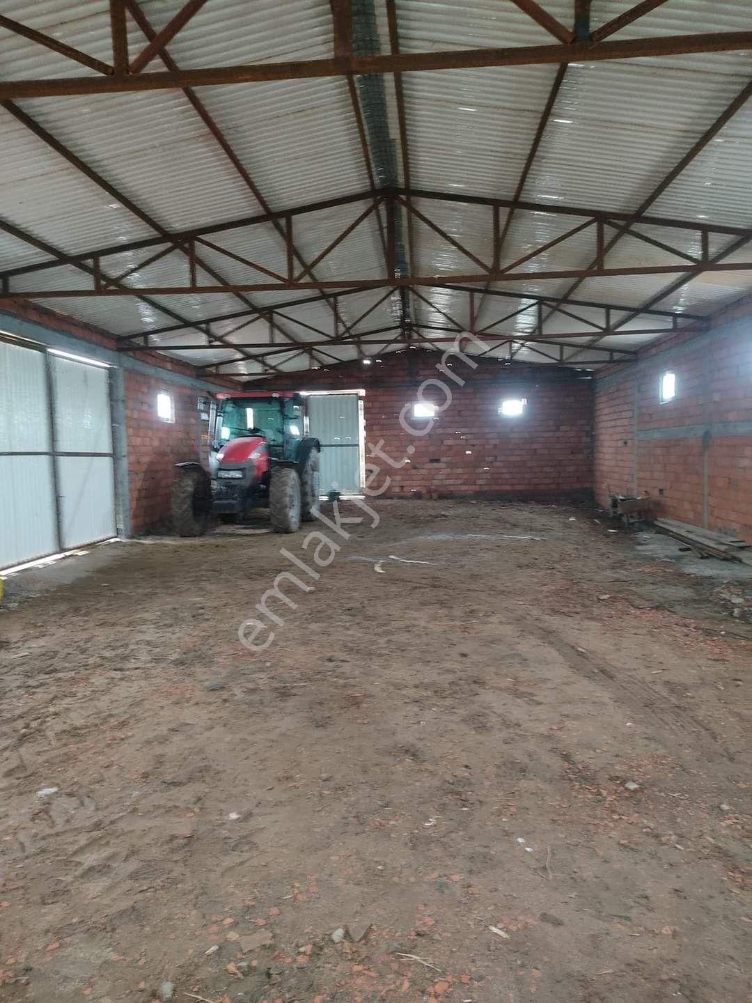 3000 Dönüm Meraya Cephe Elektrik Ve Suyu Olan Çiftlik - Görsel 7