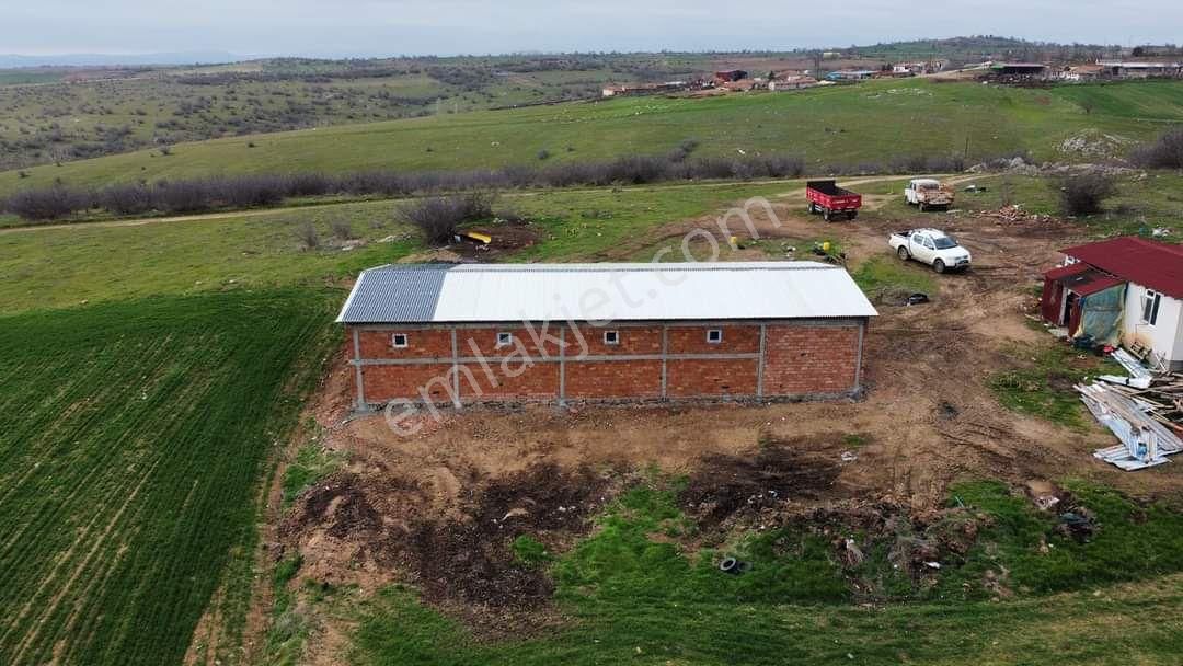 3000 Dönüm Meraya Cephe Elektrik Ve Suyu Olan Çiftlik - Görsel 3