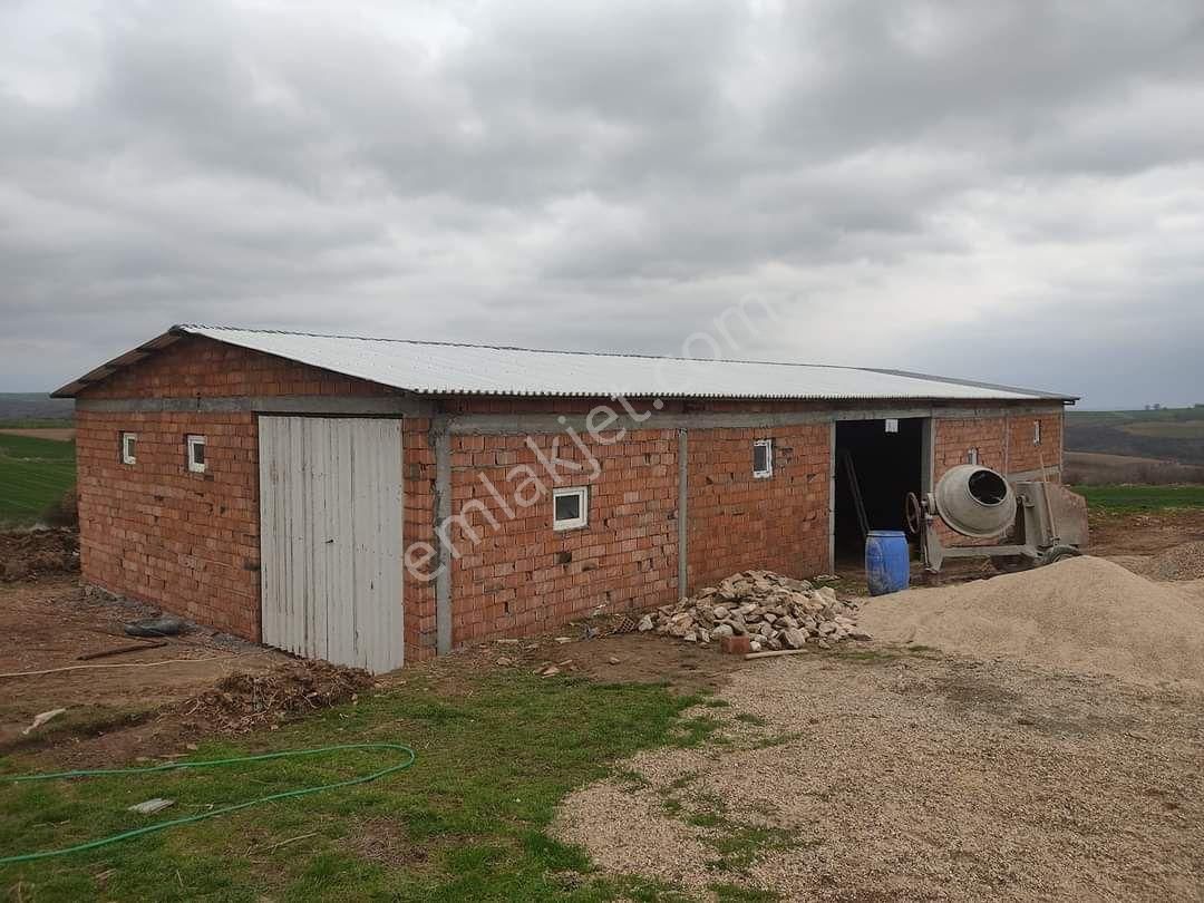 3000 Dönüm Meraya Cephe Elektrik Ve Suyu Olan Çiftlik - Görsel 5