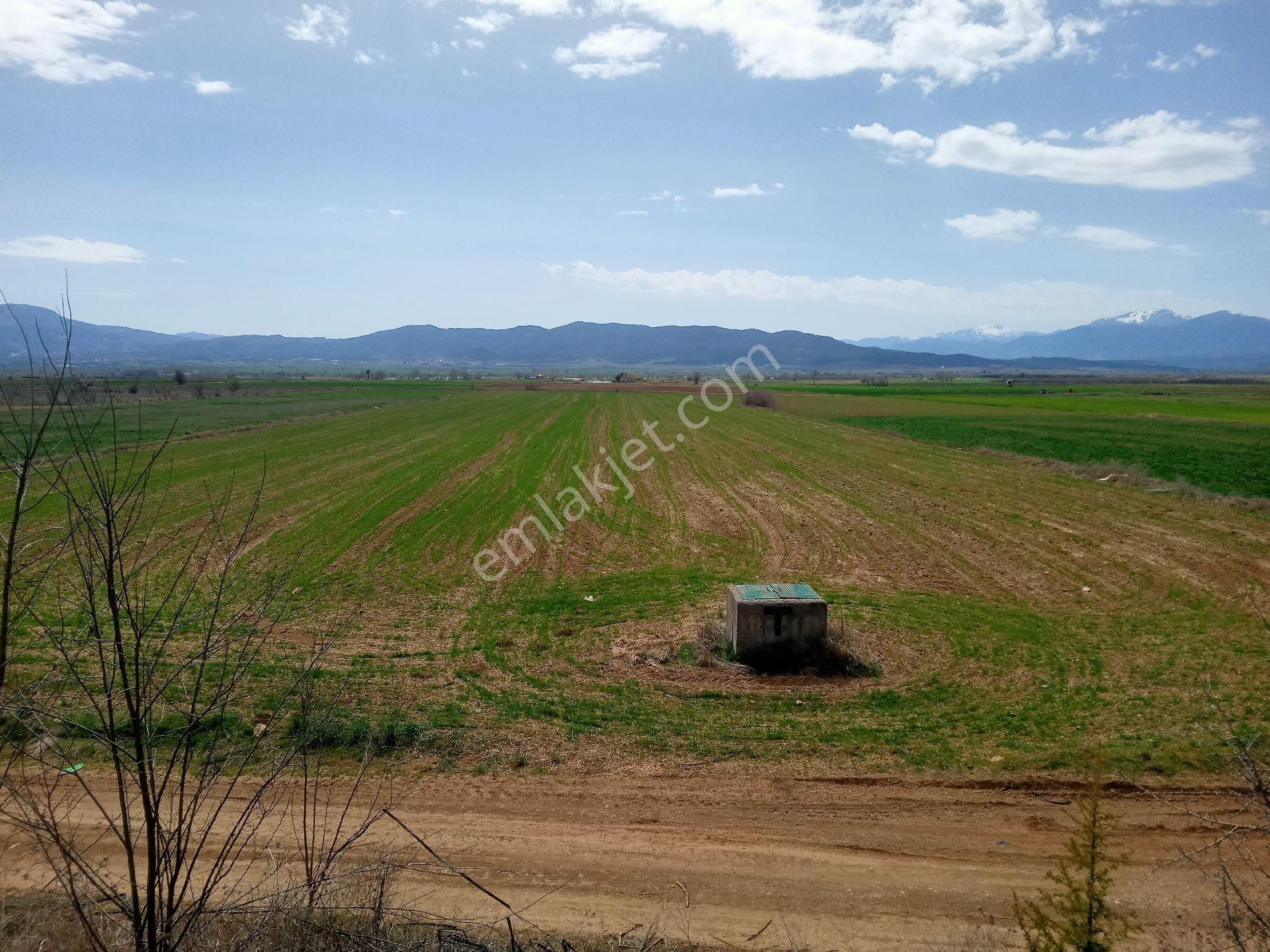 Acıpayam Dodurga Satılık Tarla Antalya yoluna sıfır tarla