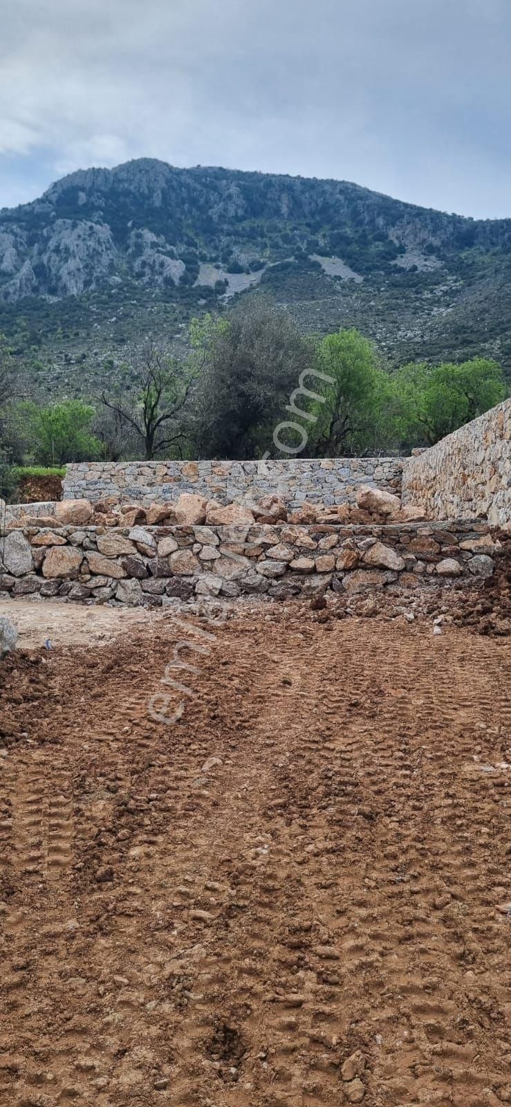 Söğüt De Yola Sıfır Satılık İki Parsel Tarla - Görsel 12