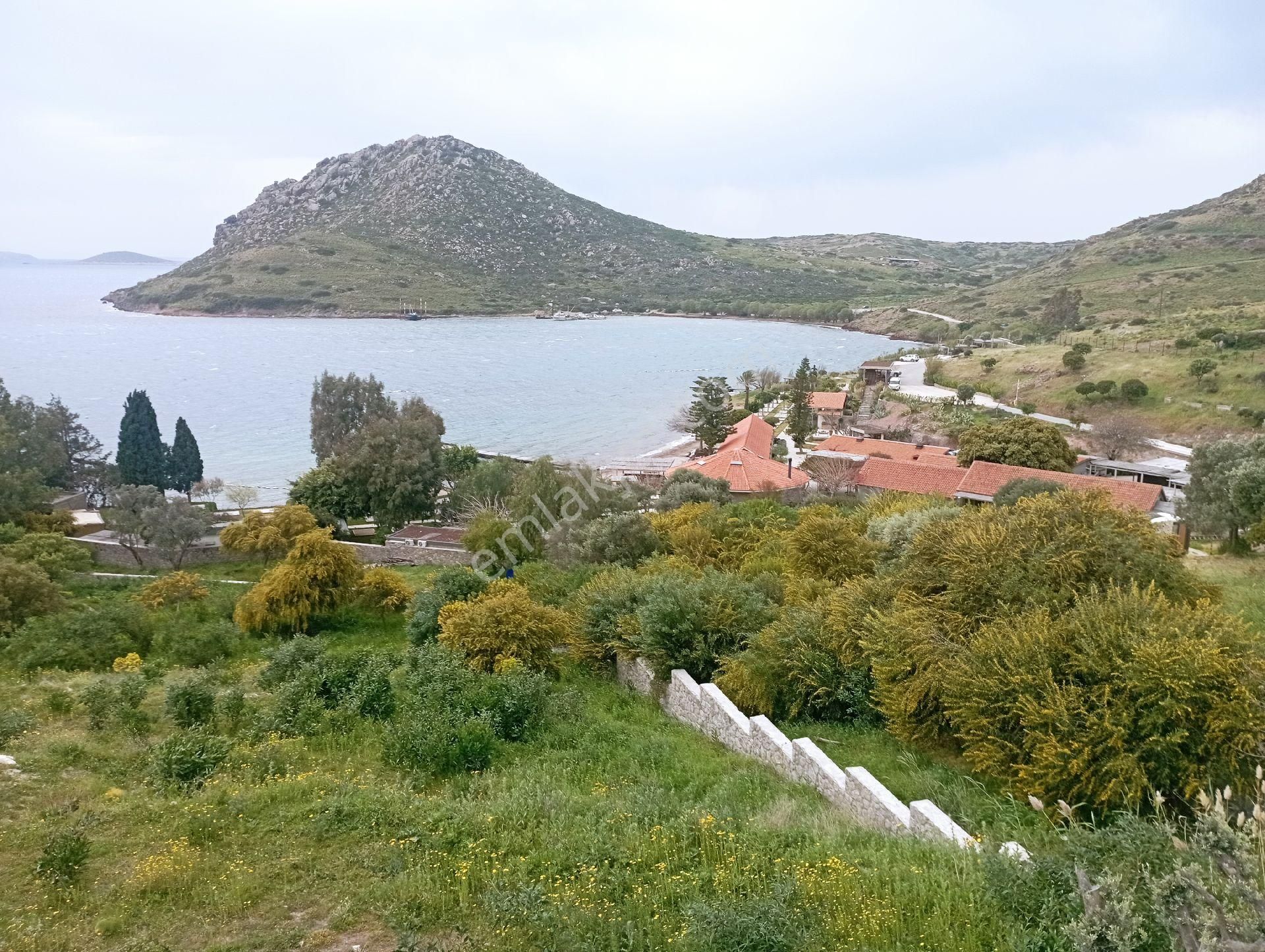 Bodrum Yalıkavak Satılık Villa Bodrum Has Emlaktan Yalıkavak Kudurde En Muhteşem Koyda Villa  