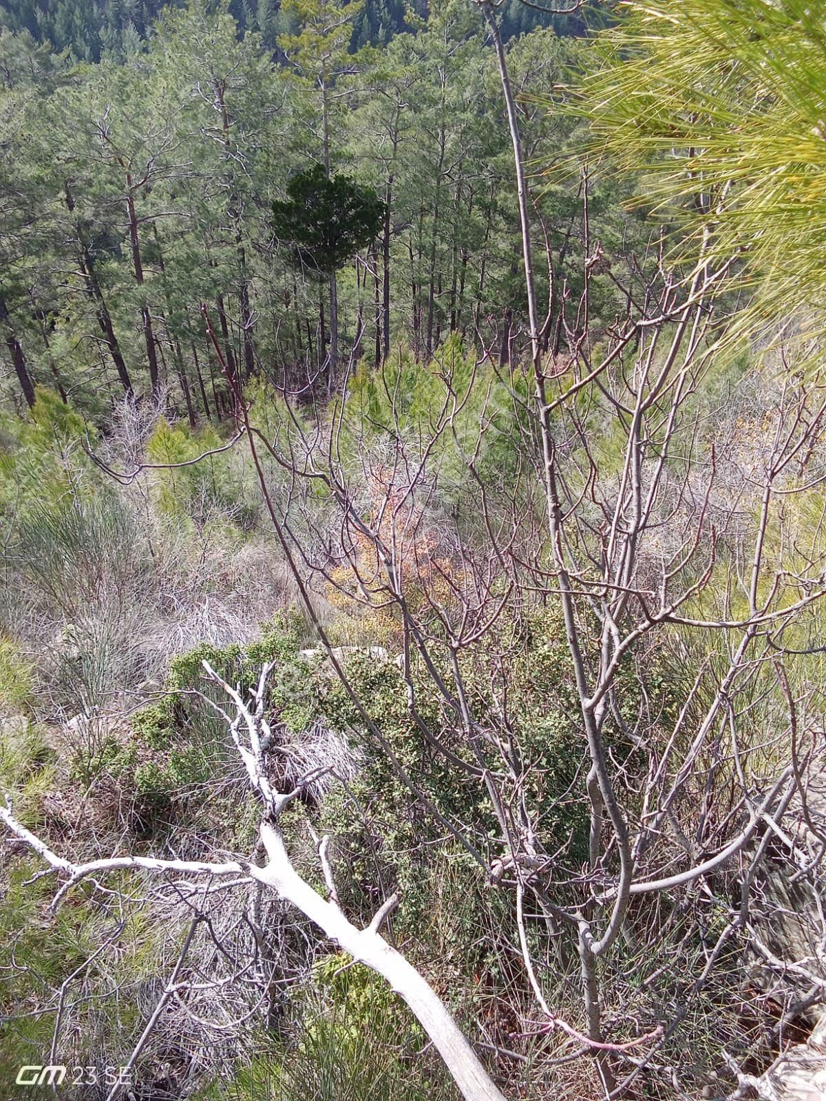 Antalya Gazipaşa Çamlıca Köy Satılık Tarlamız… - Görsel 20