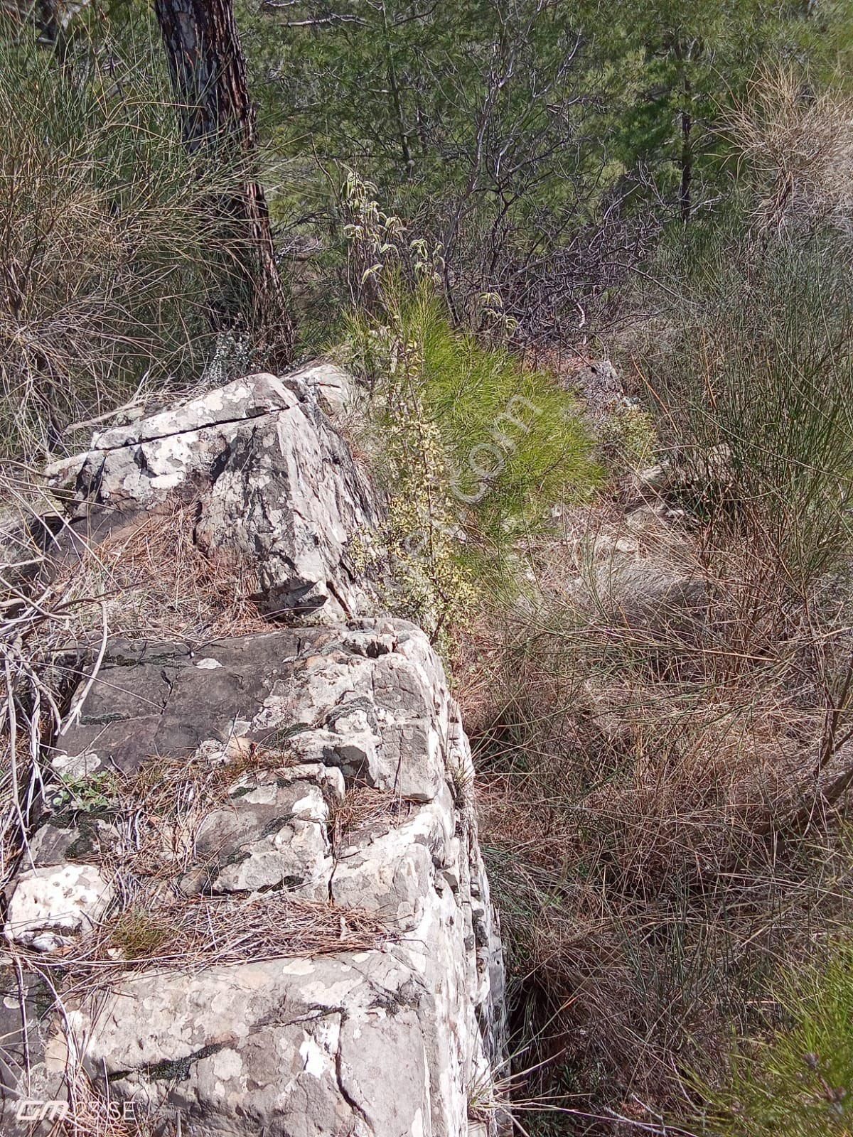 Antalya Gazipaşa Çamlıca Köy Satılık Tarlamız… - Görsel 9