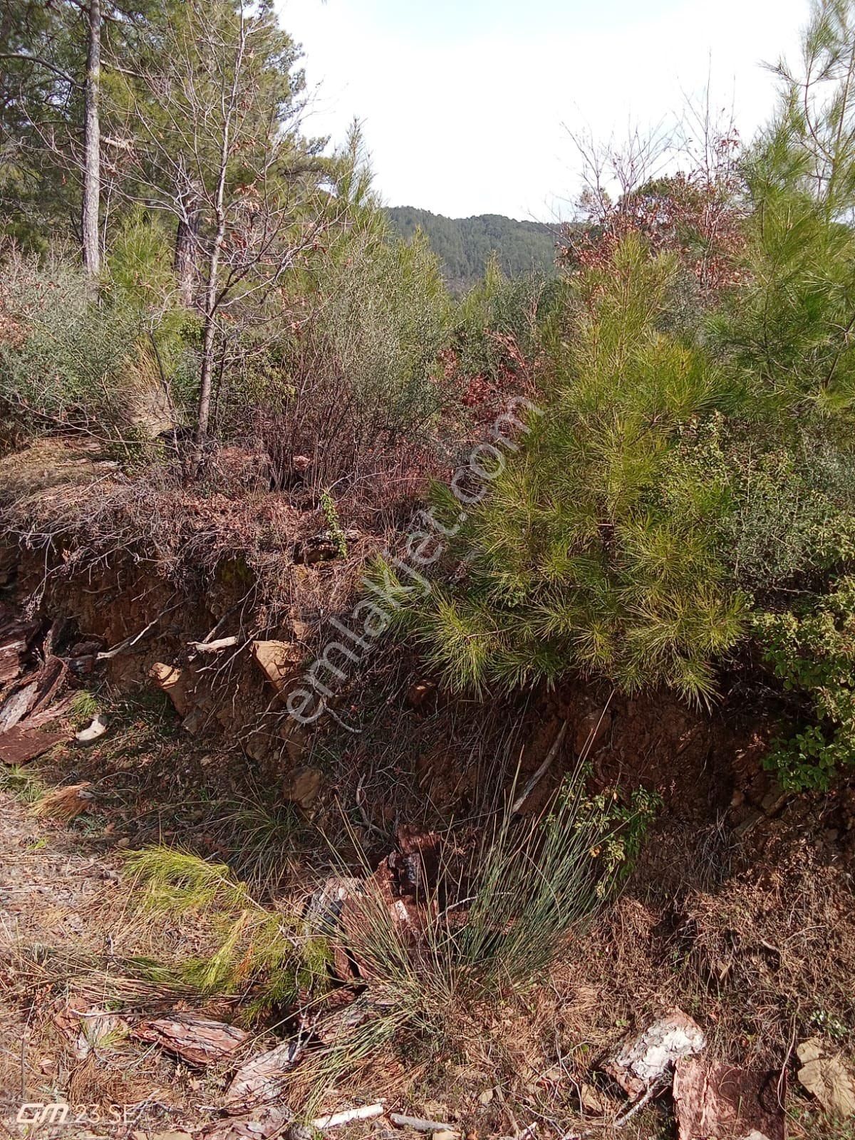 Antalya Gazipaşa Çamlıca Köy Satılık Tarlamız… - Görsel 19