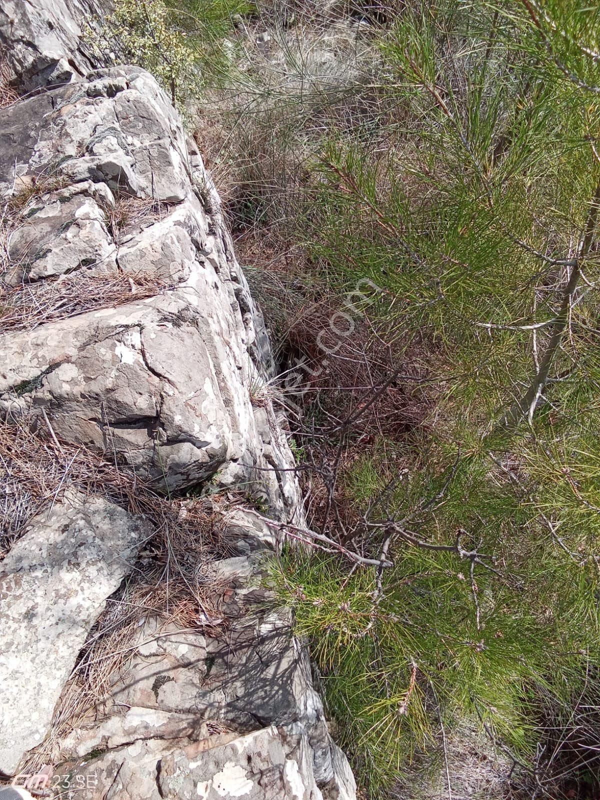 Antalya Gazipaşa Çamlıca Köy Satılık Tarlamız… - Görsel 12