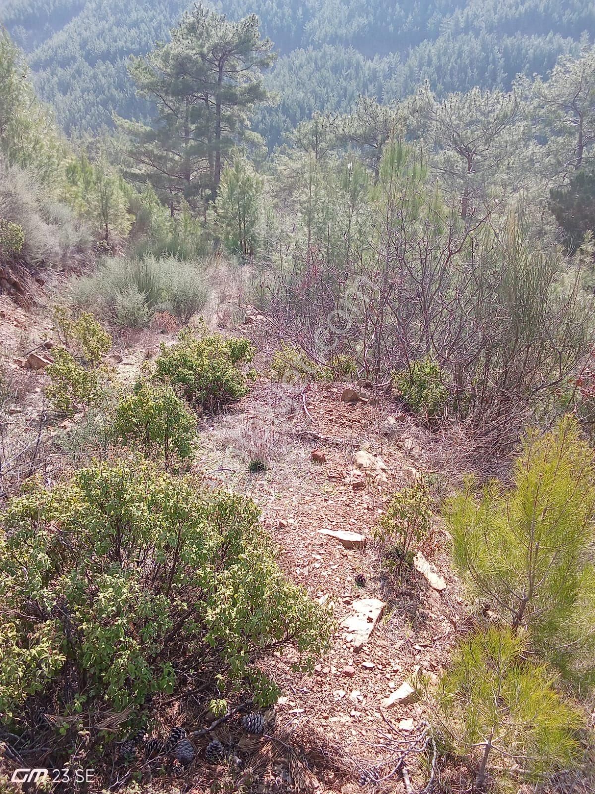 Antalya Gazipaşa Çamlıca Köy Satılık Tarlamız… - Görsel 7