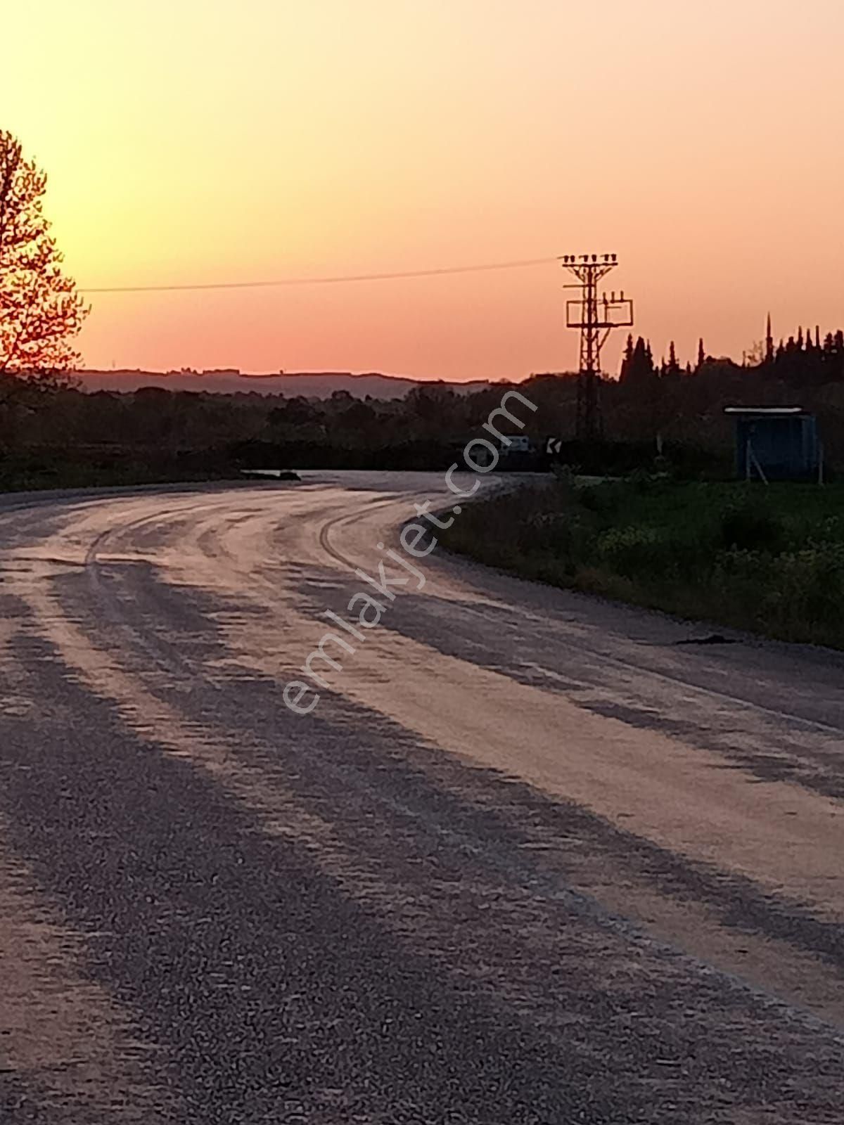 Mustafakemalpaşa Çardakbelen Satılık Tarla Satılık Tarla Karayoluna Cephe Çardakbelen su var