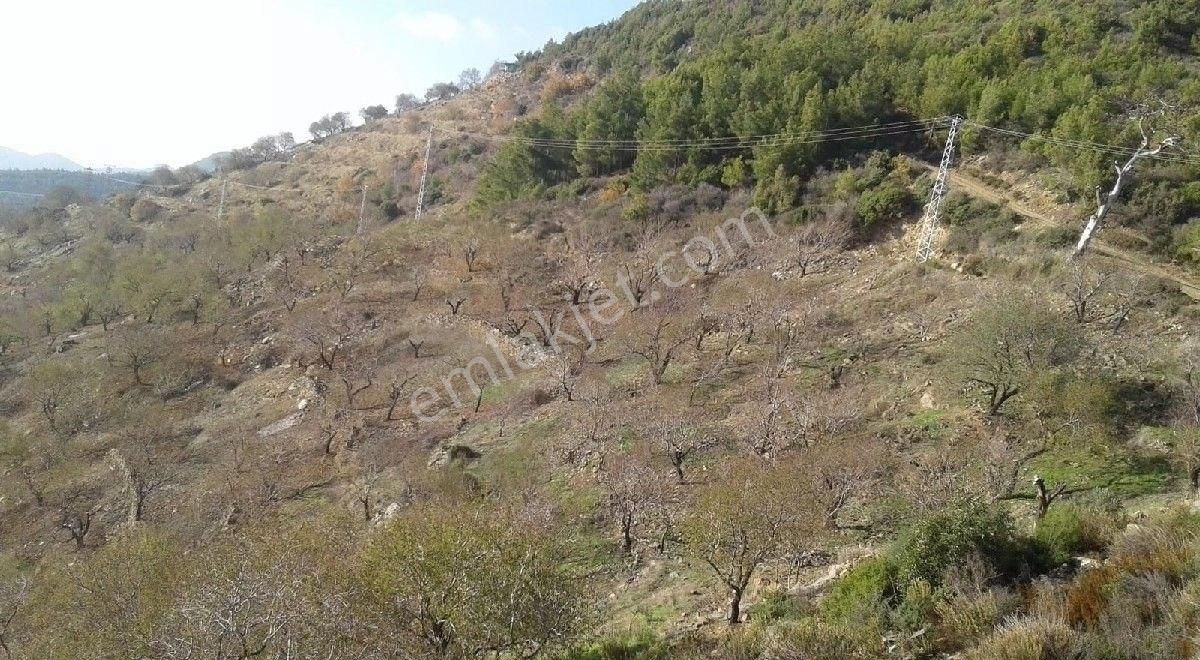 Anamur Çamlıpınaralanı Satılık Tarla Olimphaus emlak'dan Satılık tarla