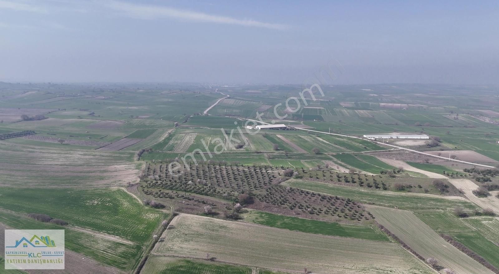 Altıeylül Yenice Satılık Tarla Klc Gayrimenkul'den Balıkesir Altıeylül Yenice' De Zeytinlik